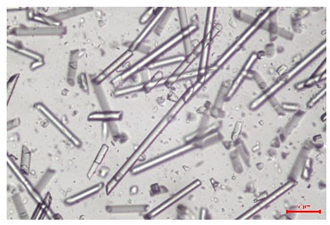 Polymers 17 02625 i013 Polymers 17 02625 i013