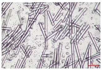 Polymers 17 02625 i018 Polymers 17 02625 i018