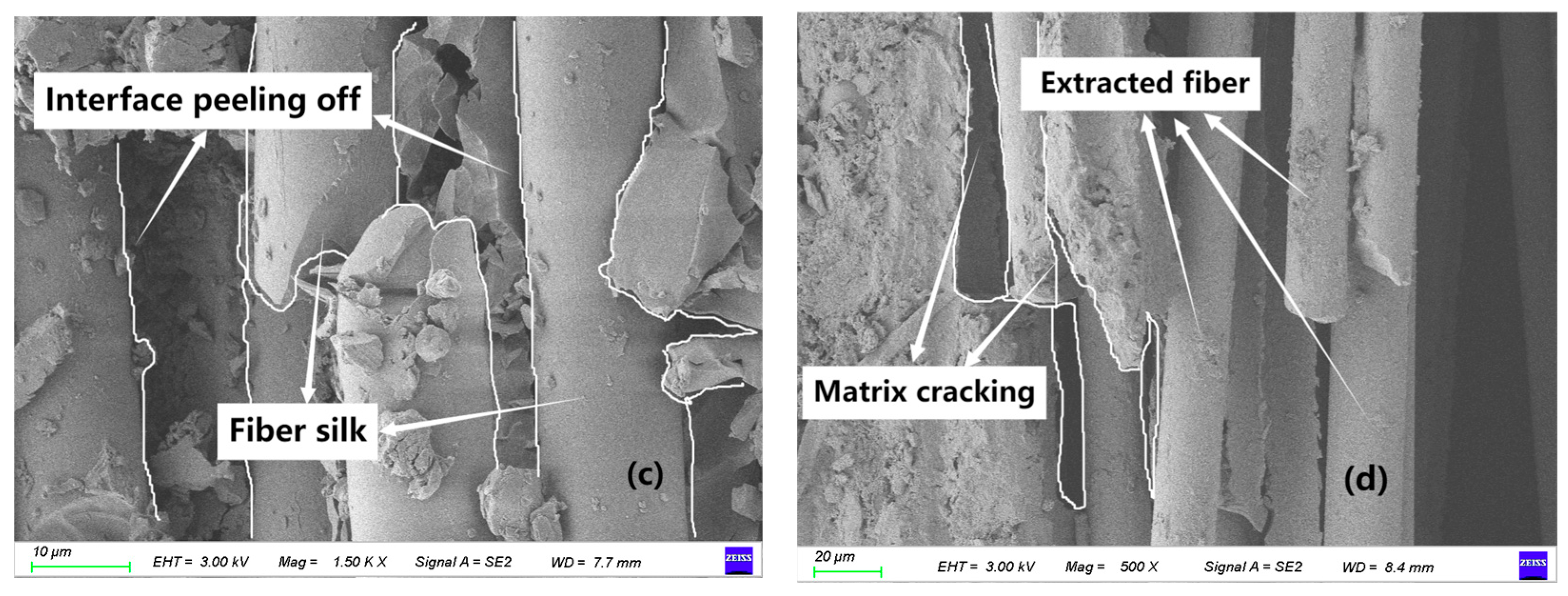 Polymers 17 02627 g009b Polymers 17 02627 g009b