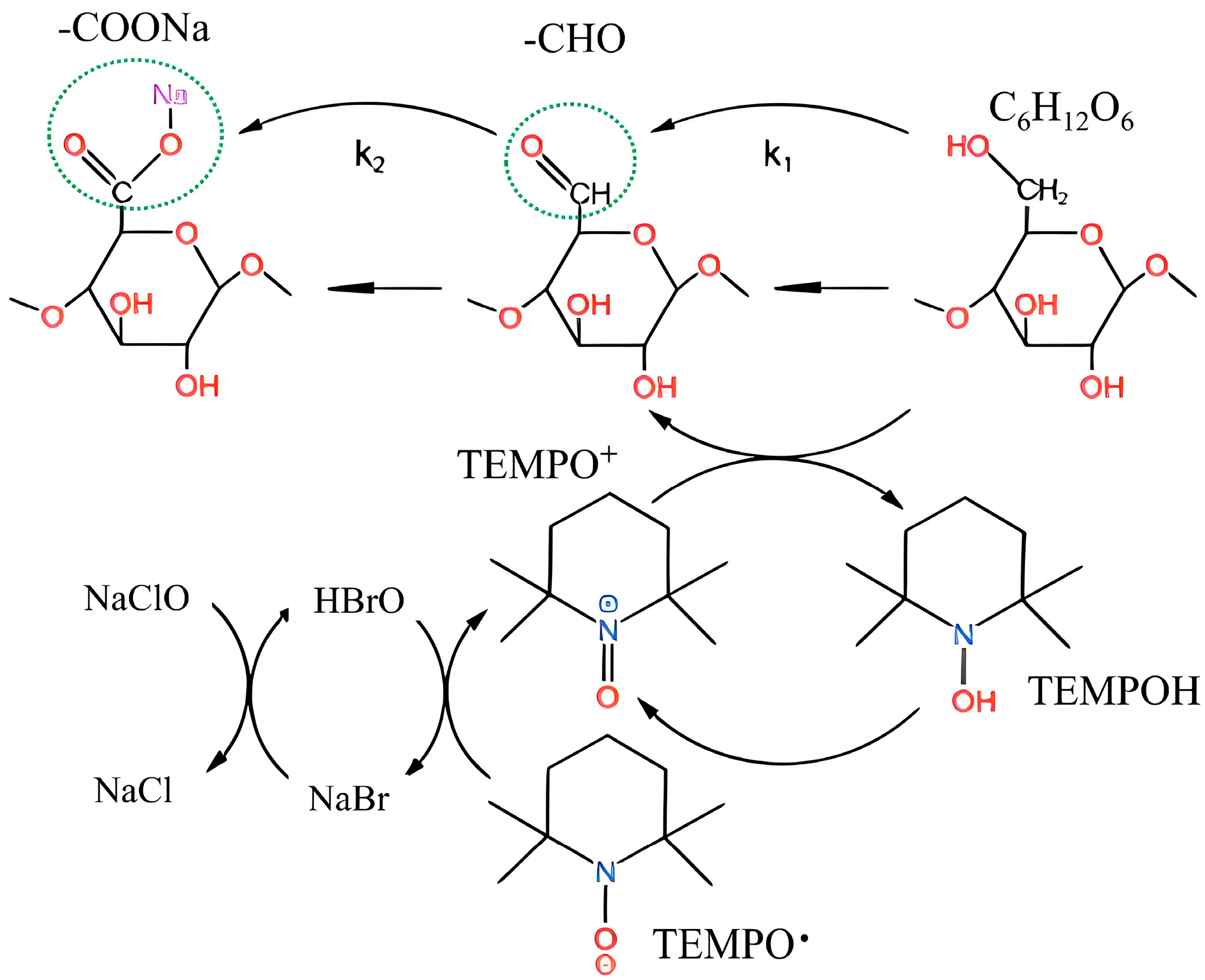 Polymers 17 02629 g001