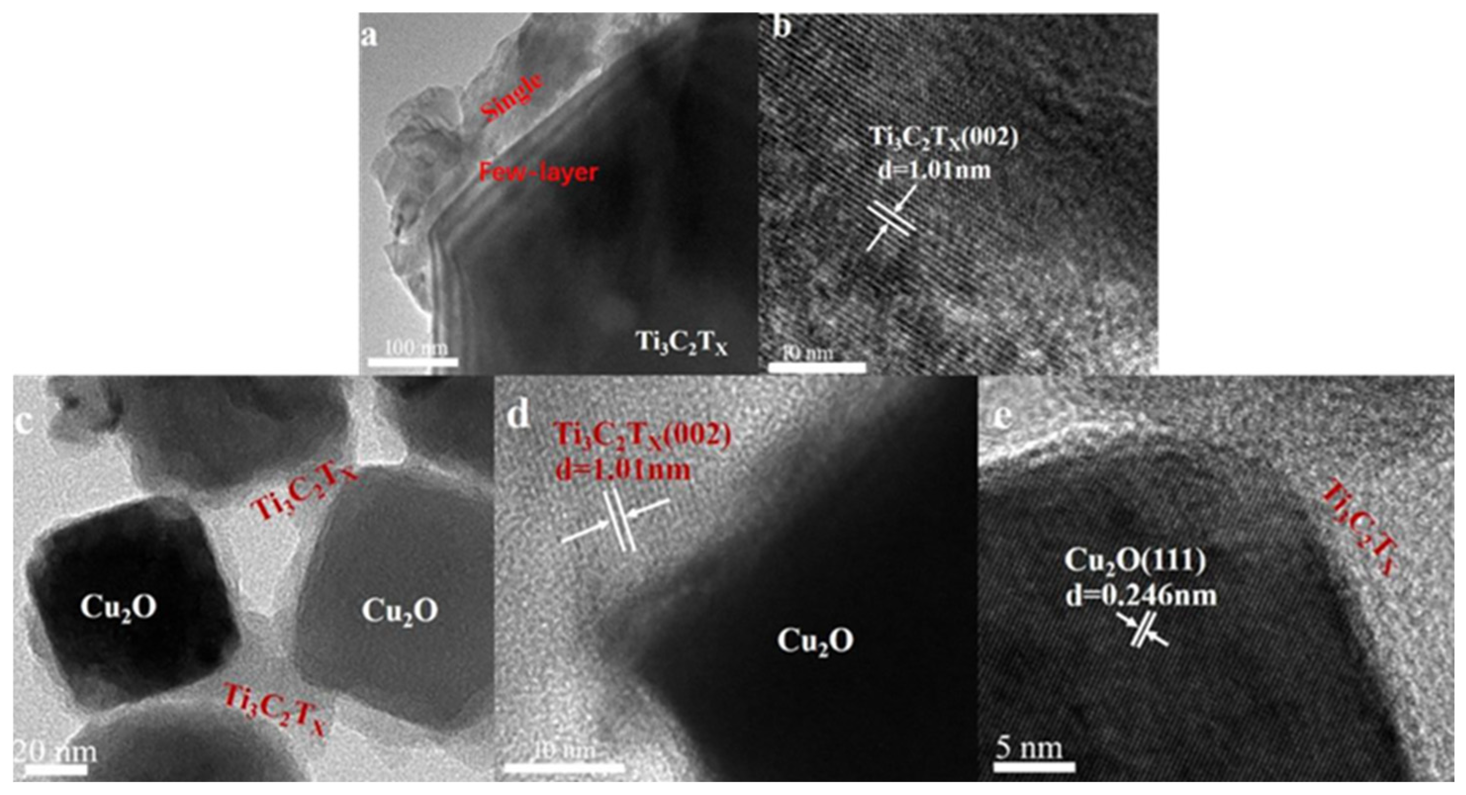 Polymers 17 02630 g004 Polymers 17 02630 g004