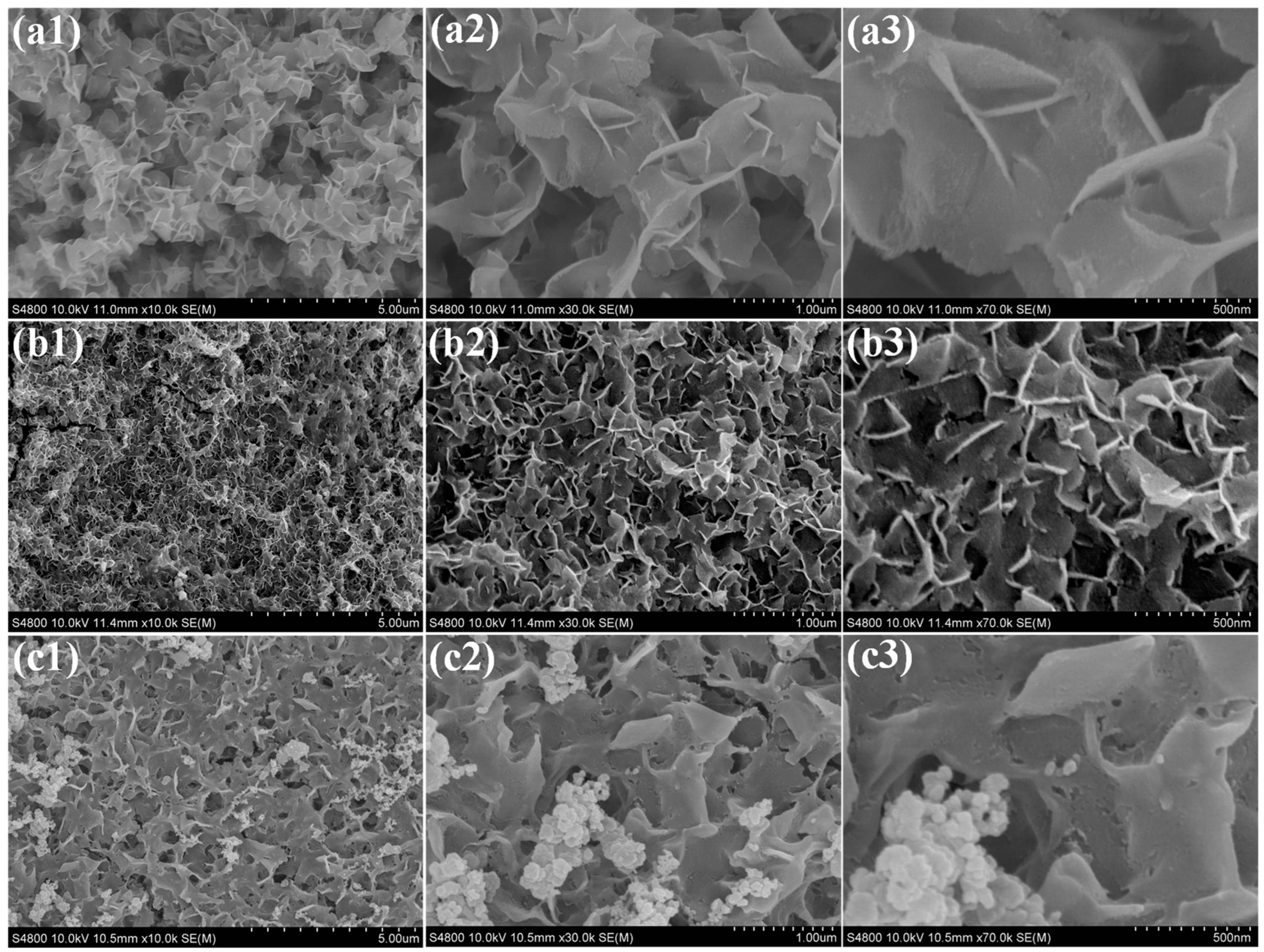 Polymers 17 02631 g004