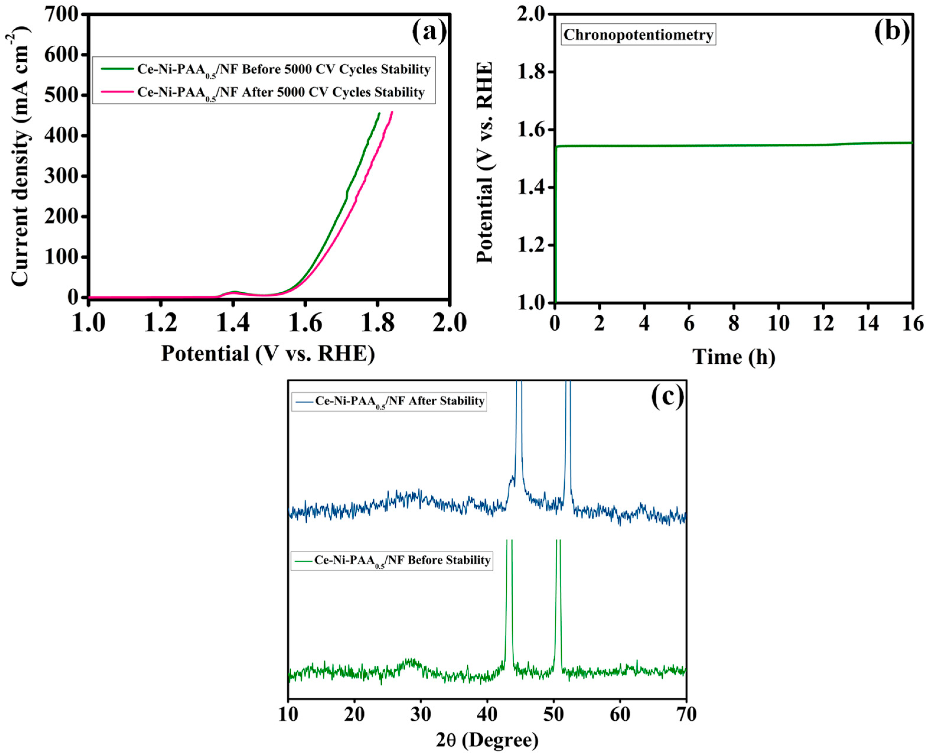 Polymers 17 02631 g008