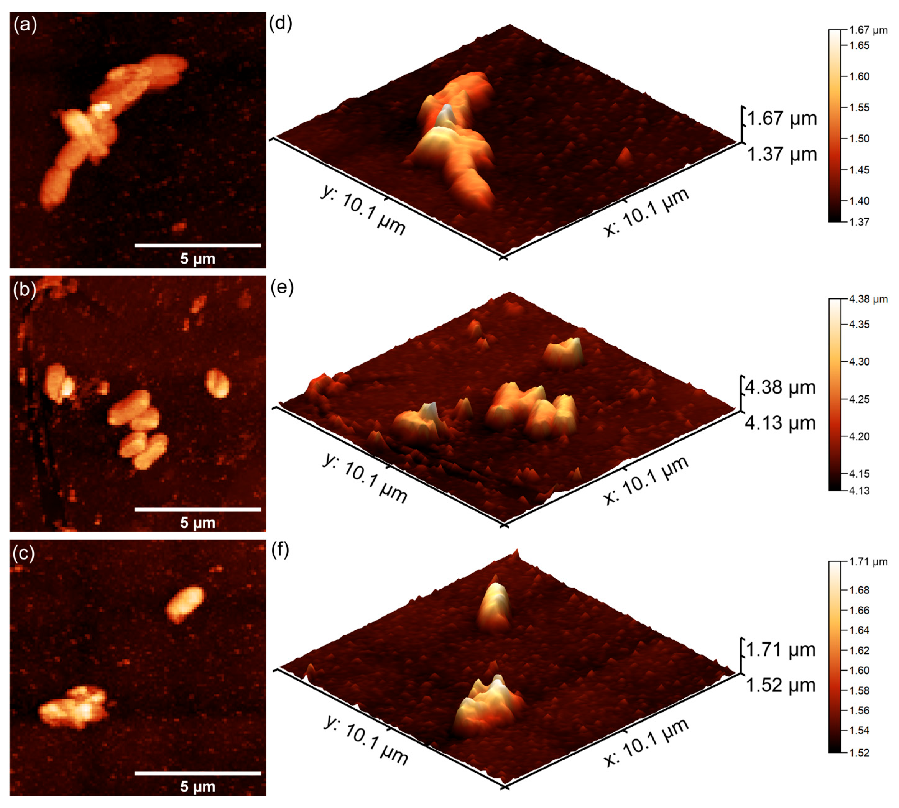 Polymers 17 02633 g022