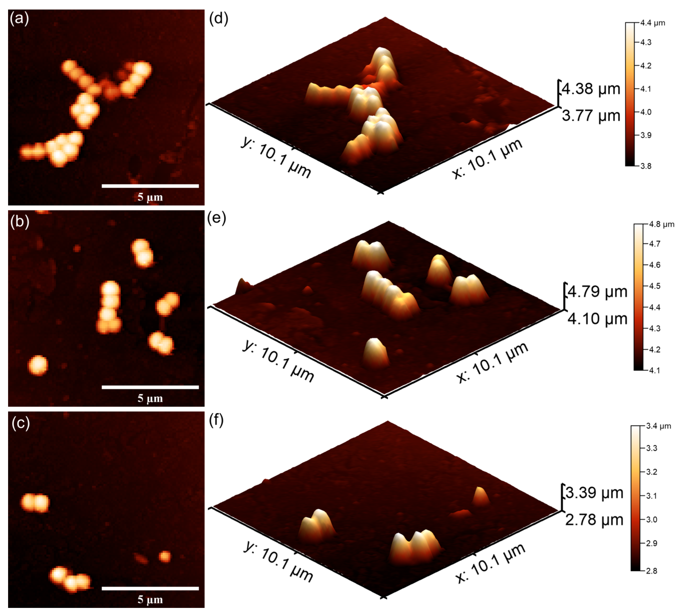 Polymers 17 02633 g025