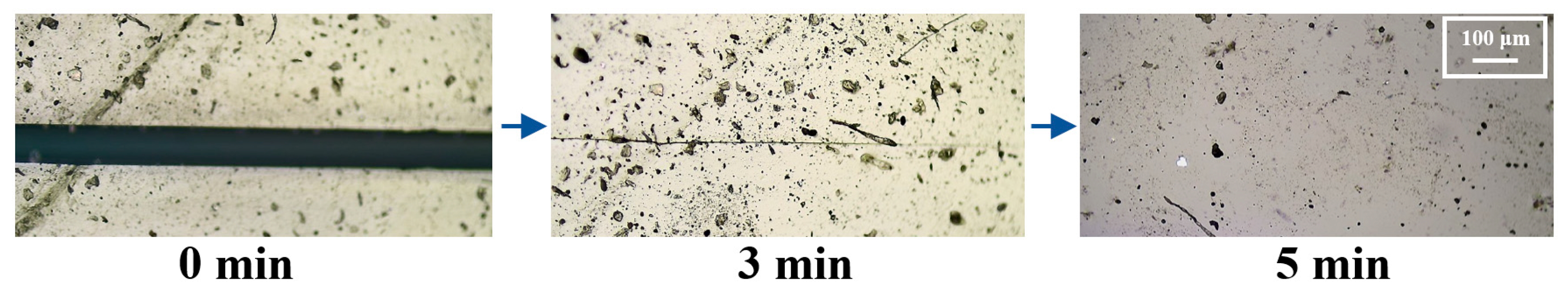 Polymers 17 02635 g009 Polymers 17 02635 g009