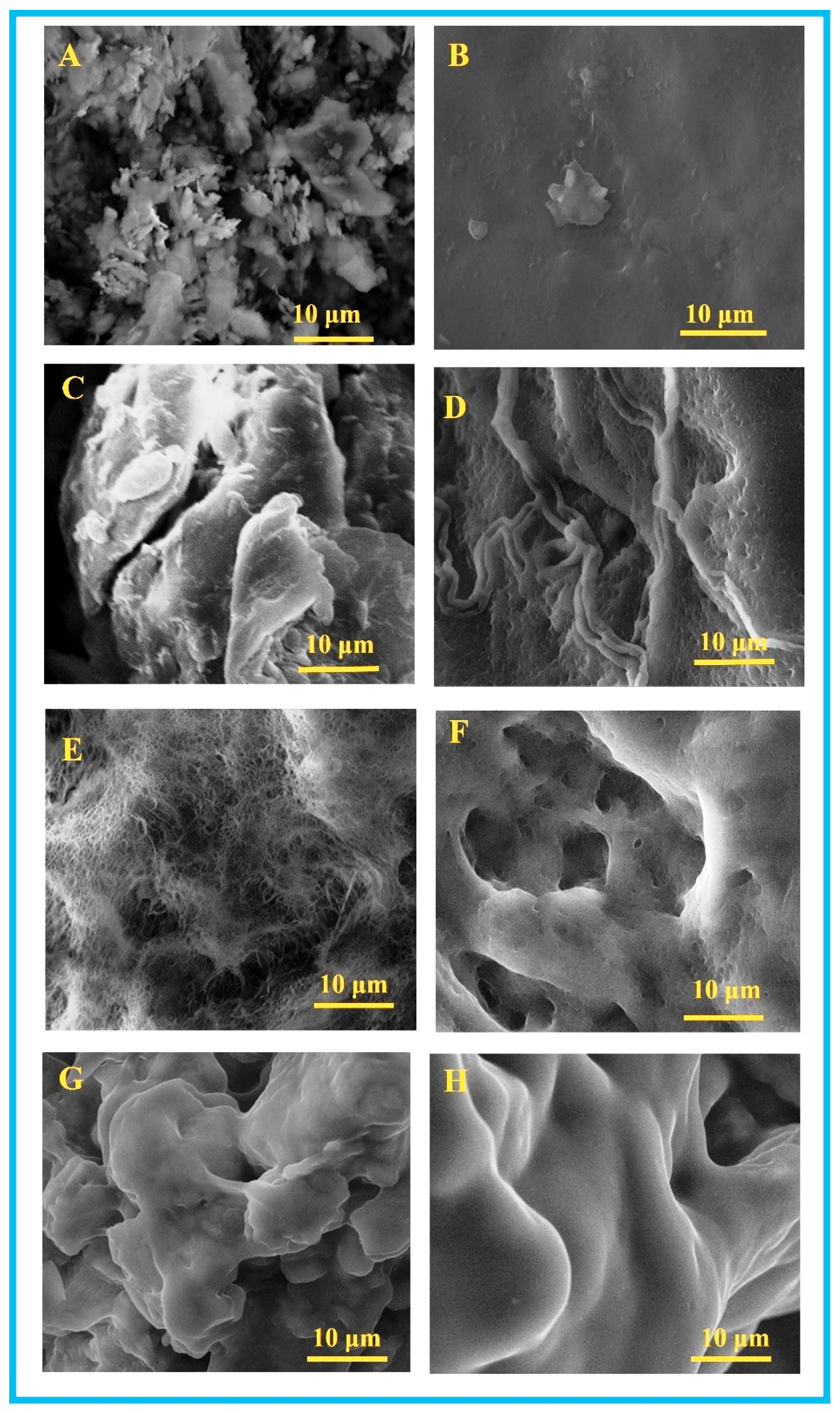 Polymers 17 02637 g001