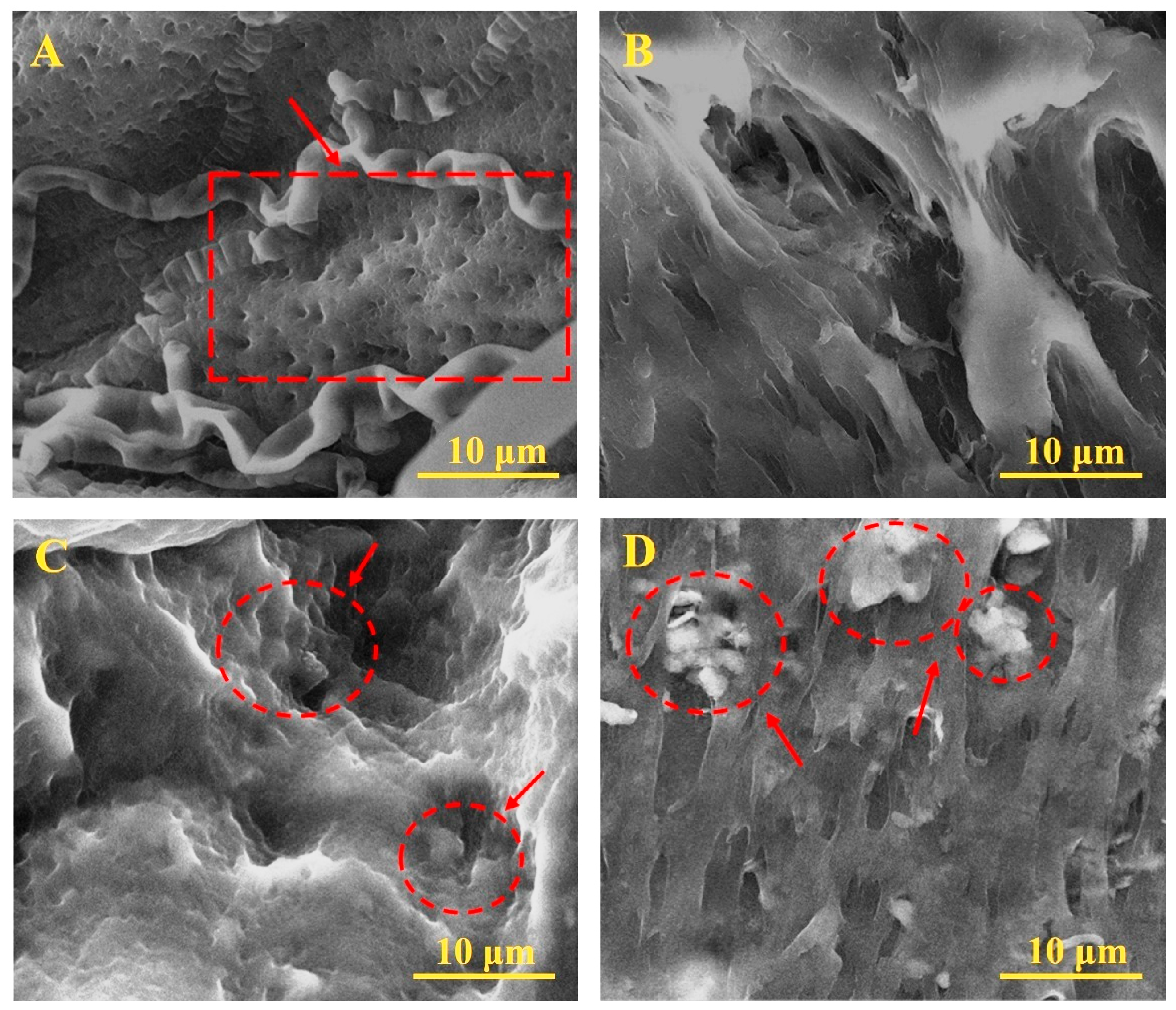 Polymers 17 02637 g002