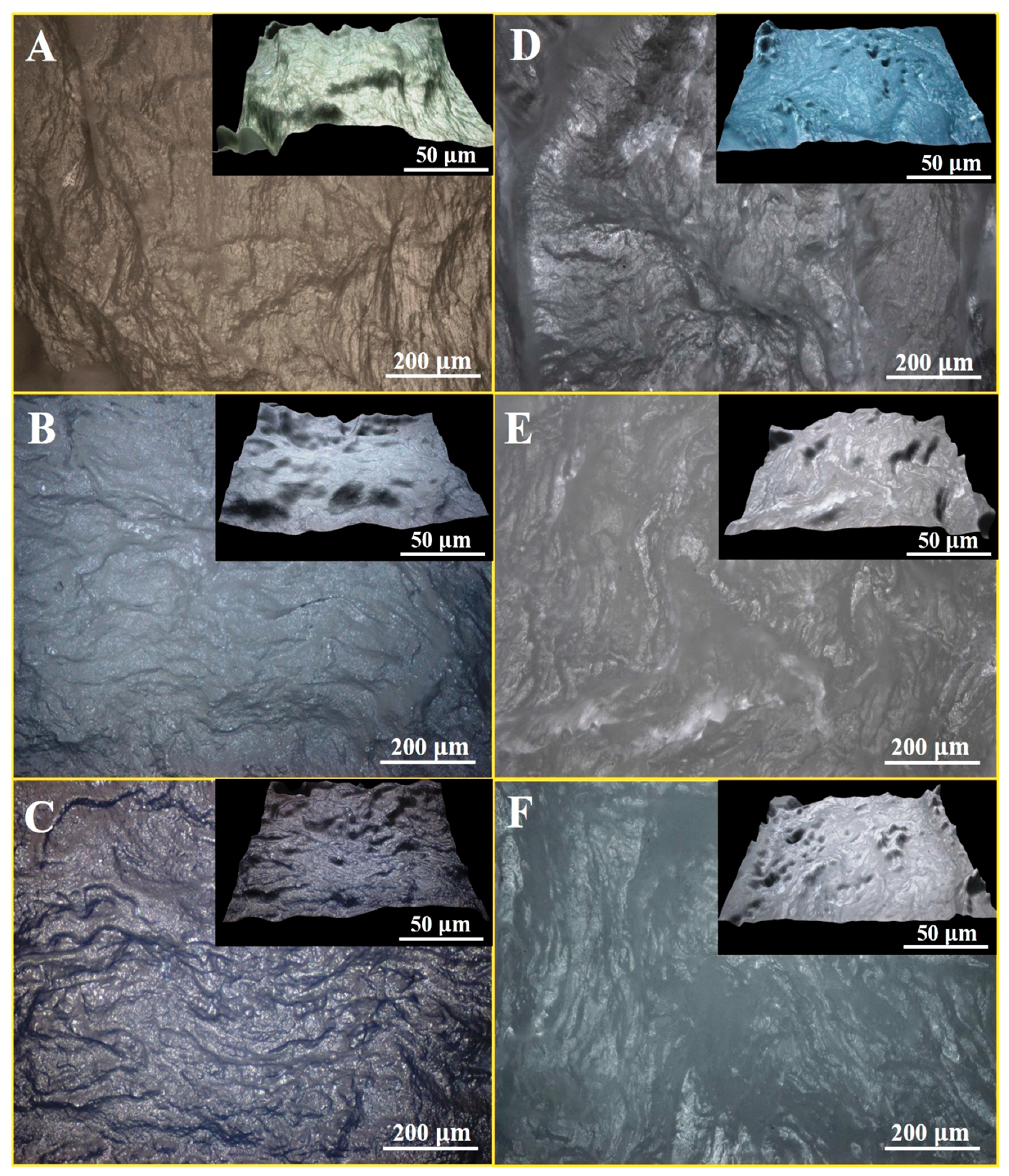 Polymers 17 02637 g005
