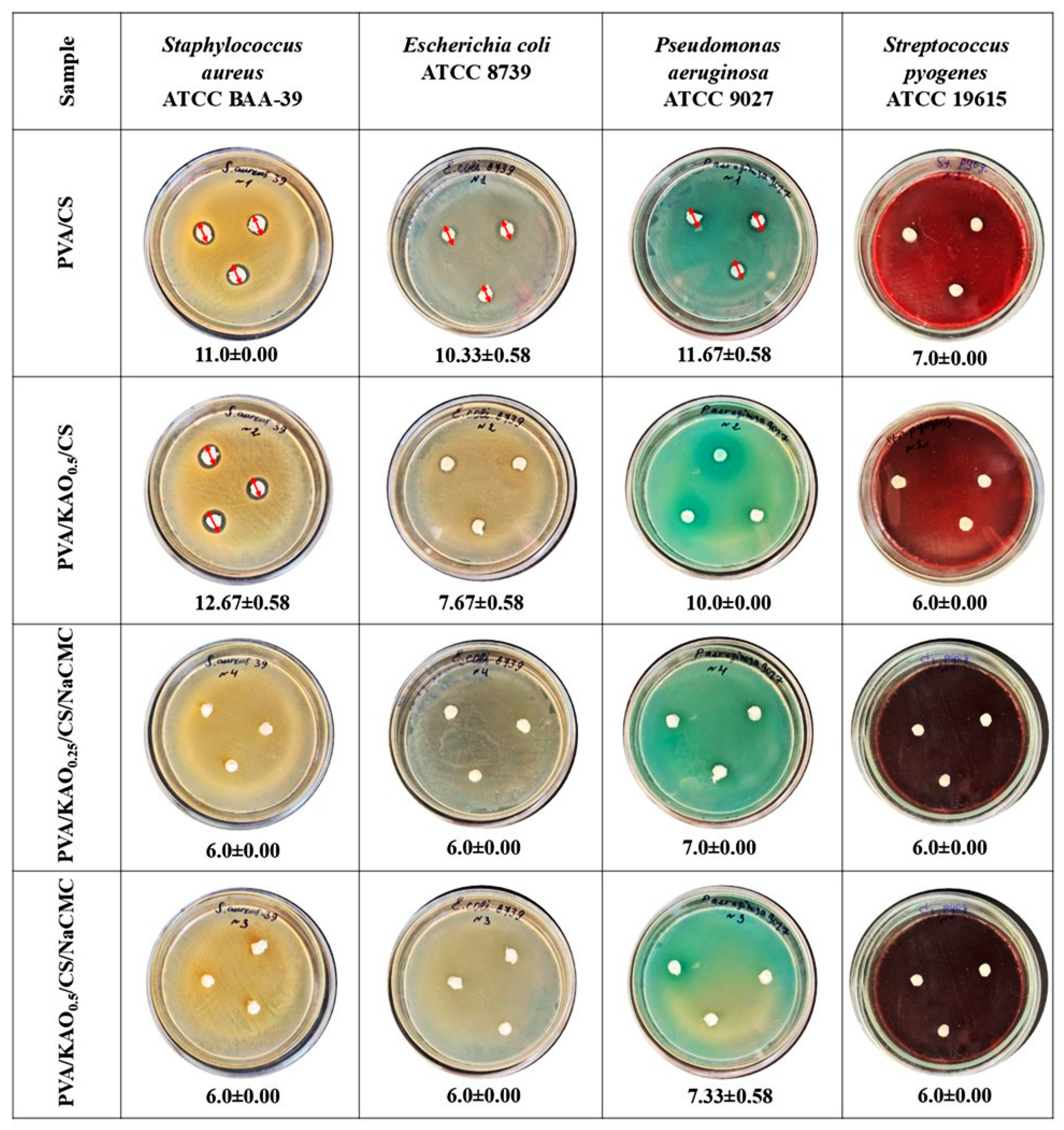 Polymers 17 02637 g008