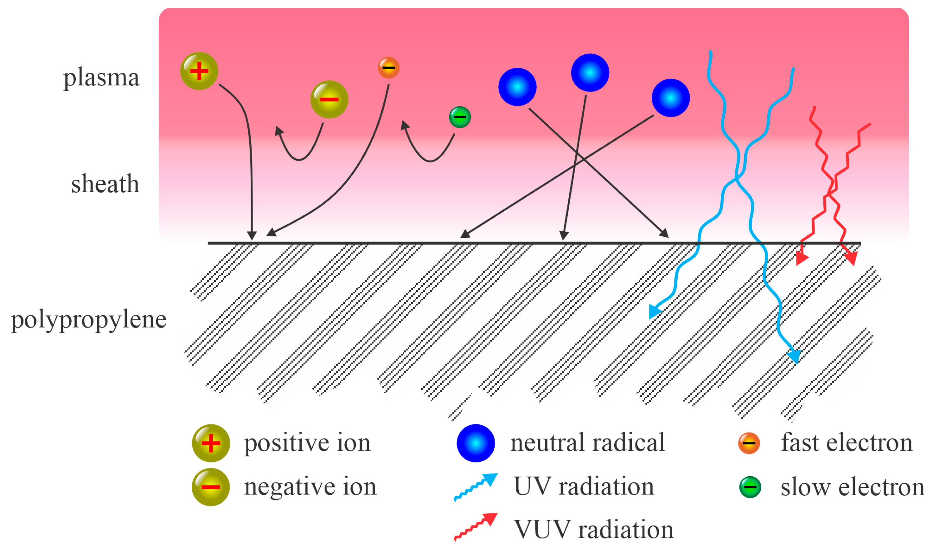 Polymers 17 02644 g001