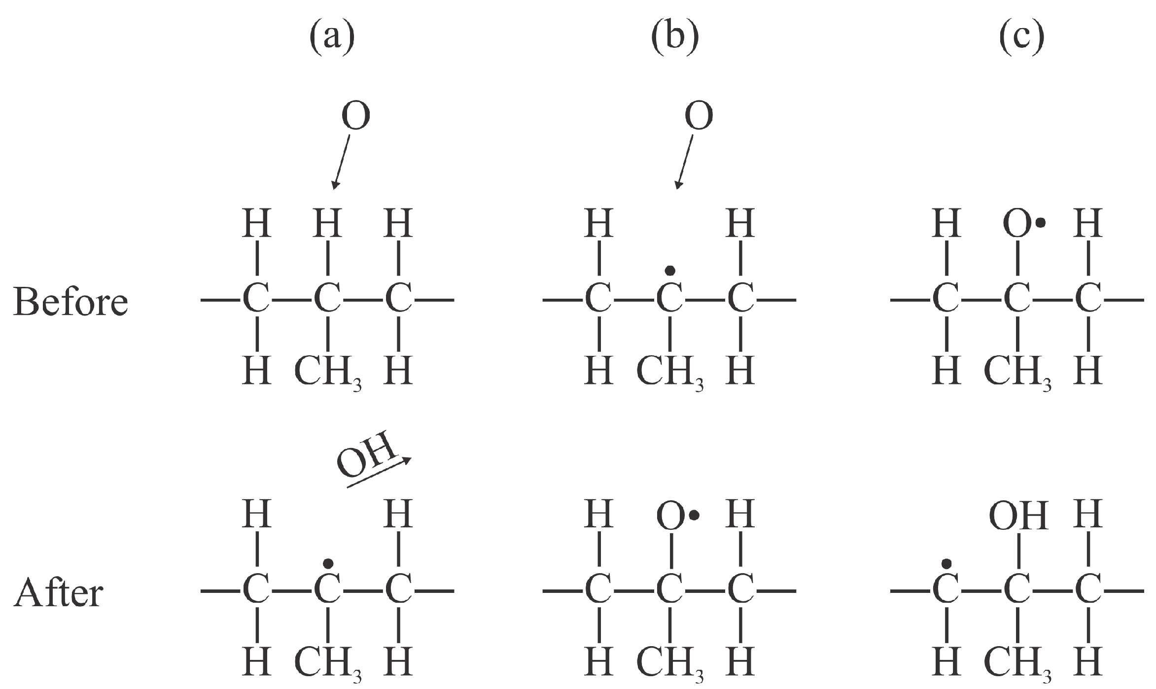 Polymers 17 02644 g002