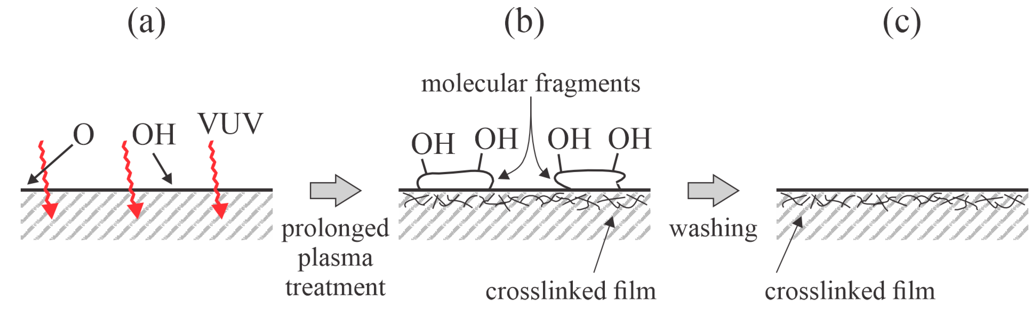 Polymers 17 02644 g004