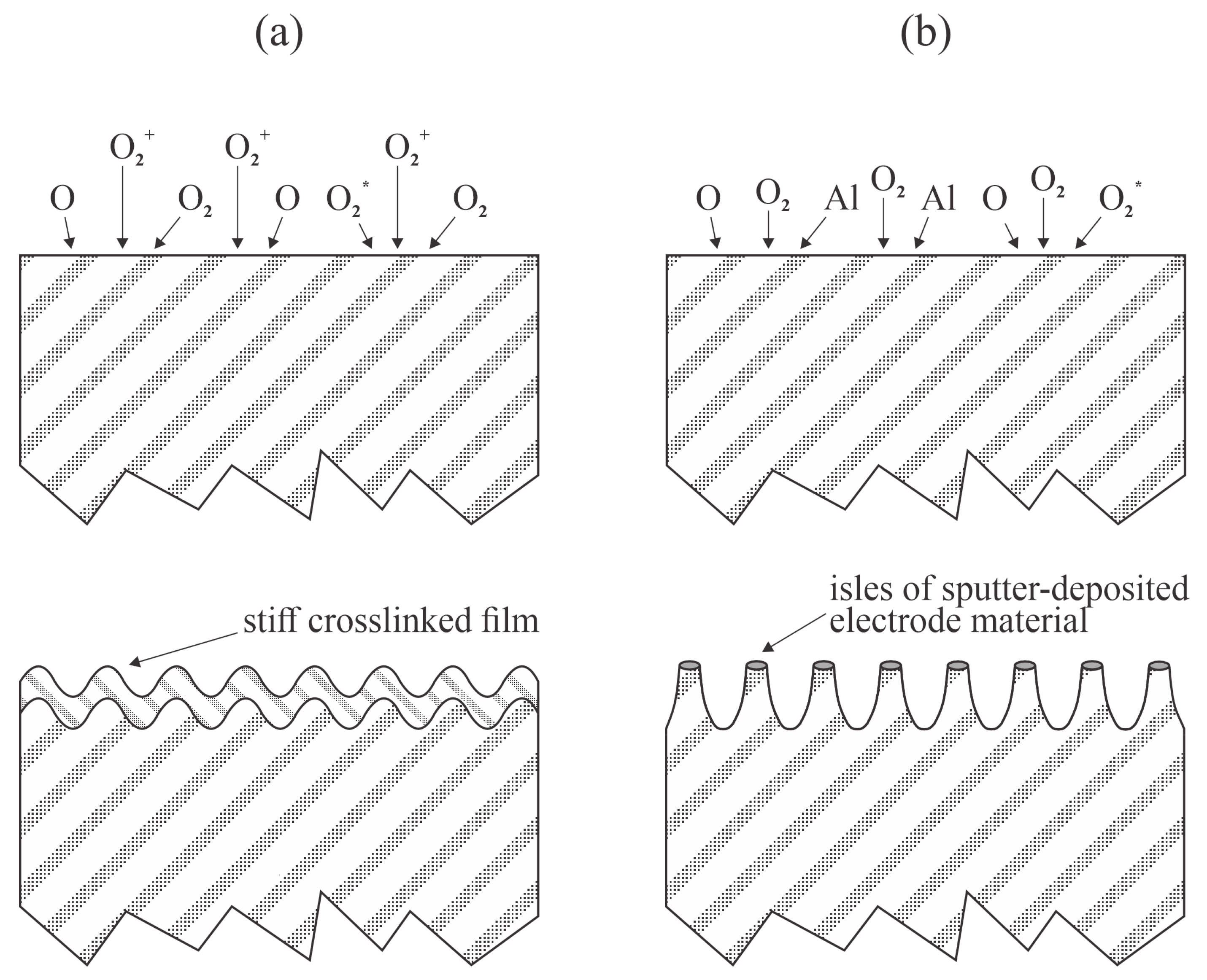 Polymers 17 02644 g006