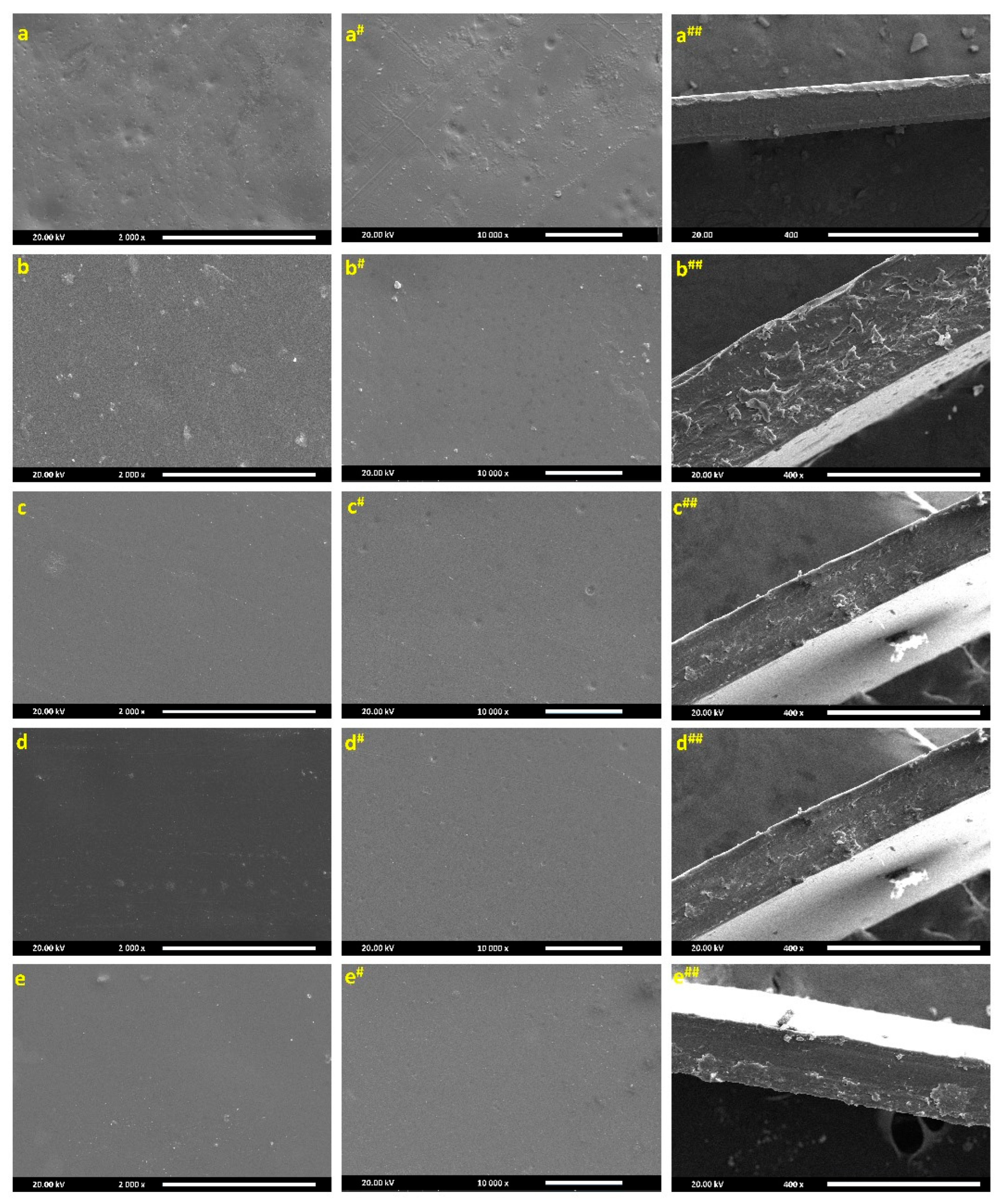Polymers 17 02646 g005