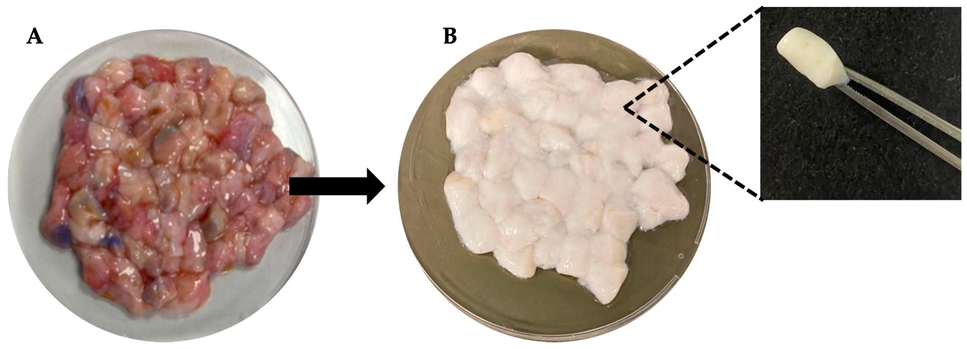 Polymers 17 02647 g002 Polymers 17 02647 g002