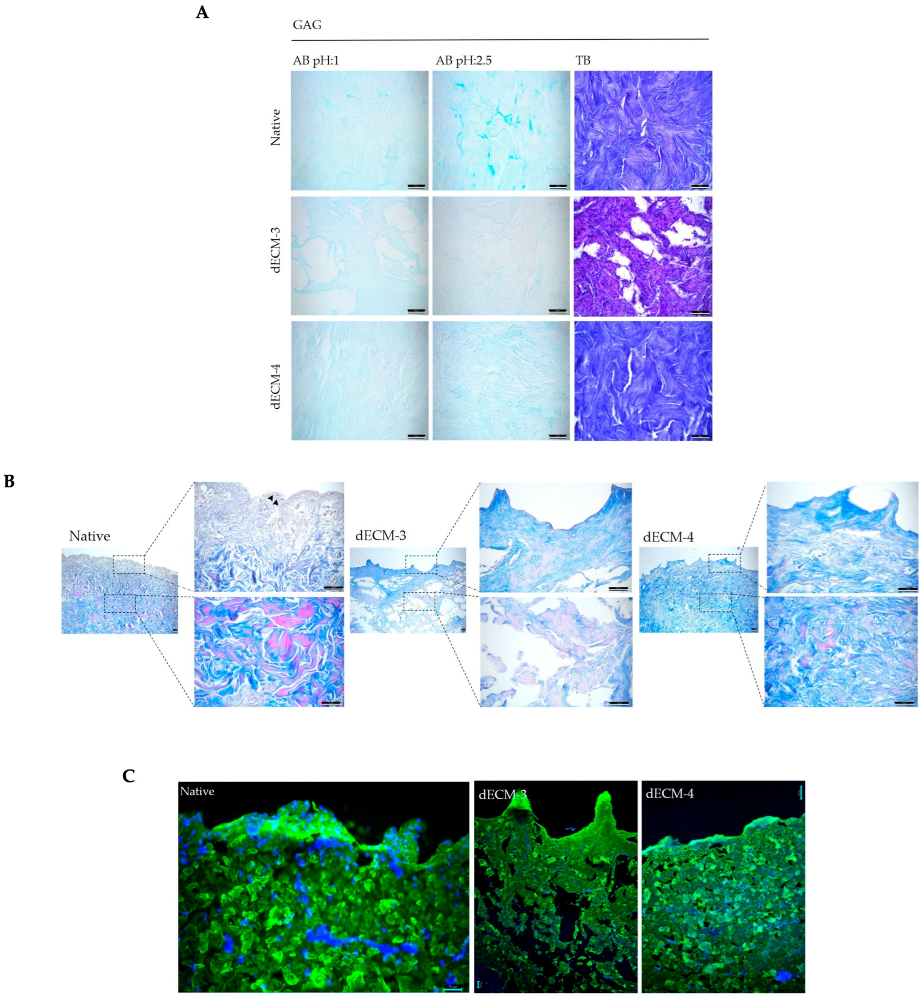 Polymers 17 02647 g004 Polymers 17 02647 g004