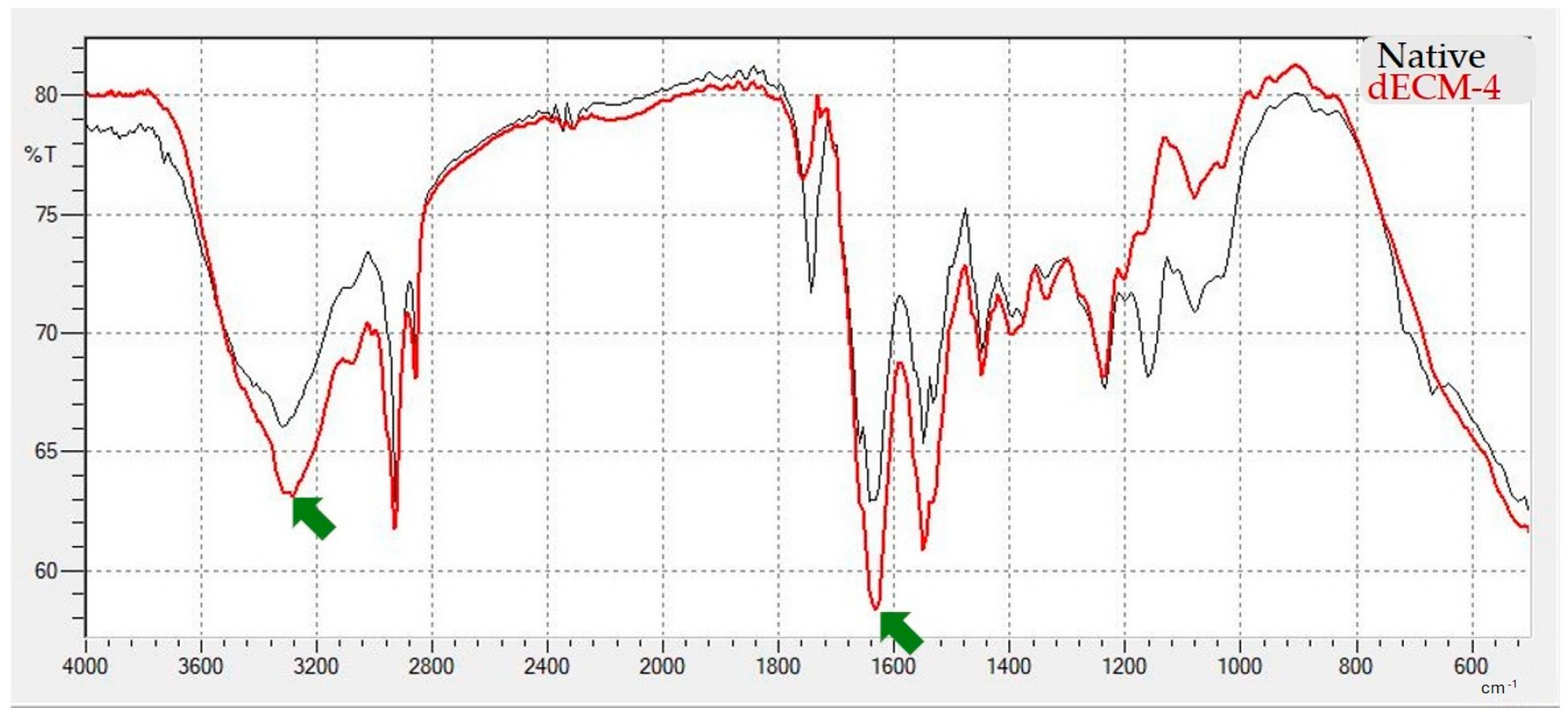 Polymers 17 02647 g005 Polymers 17 02647 g005
