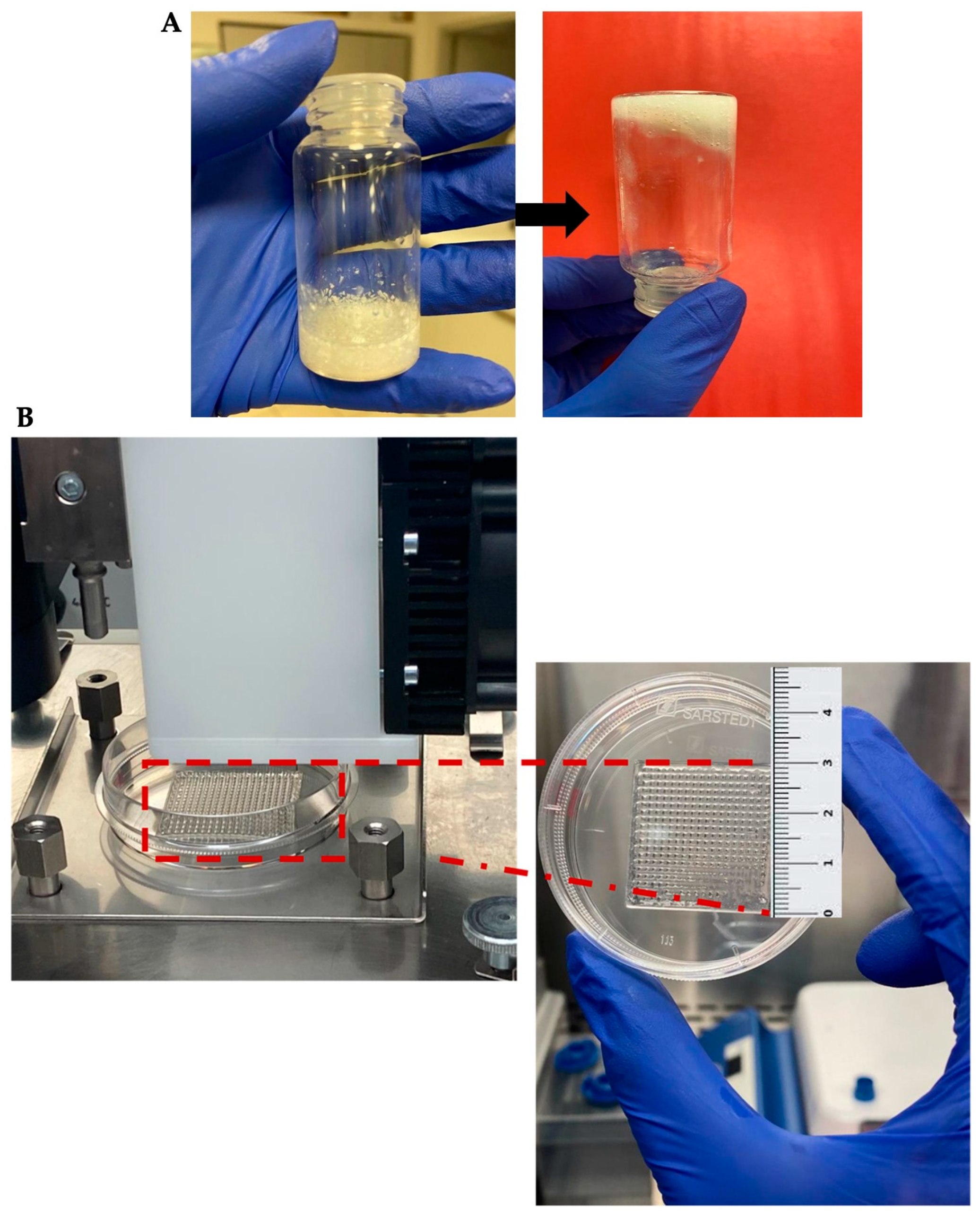 Polymers 17 02647 g006 Polymers 17 02647 g006