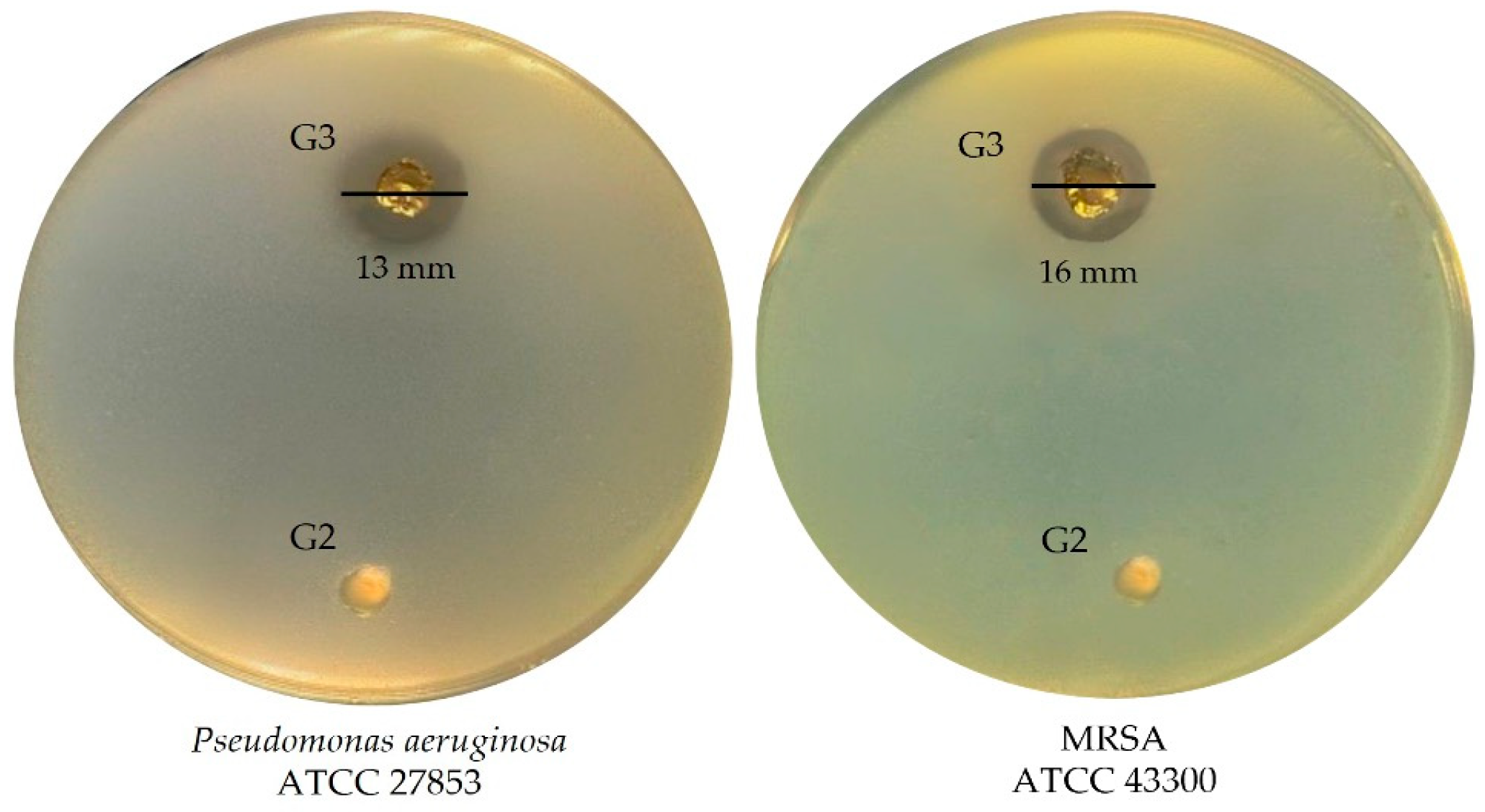 Polymers 17 02647 g008 Polymers 17 02647 g008