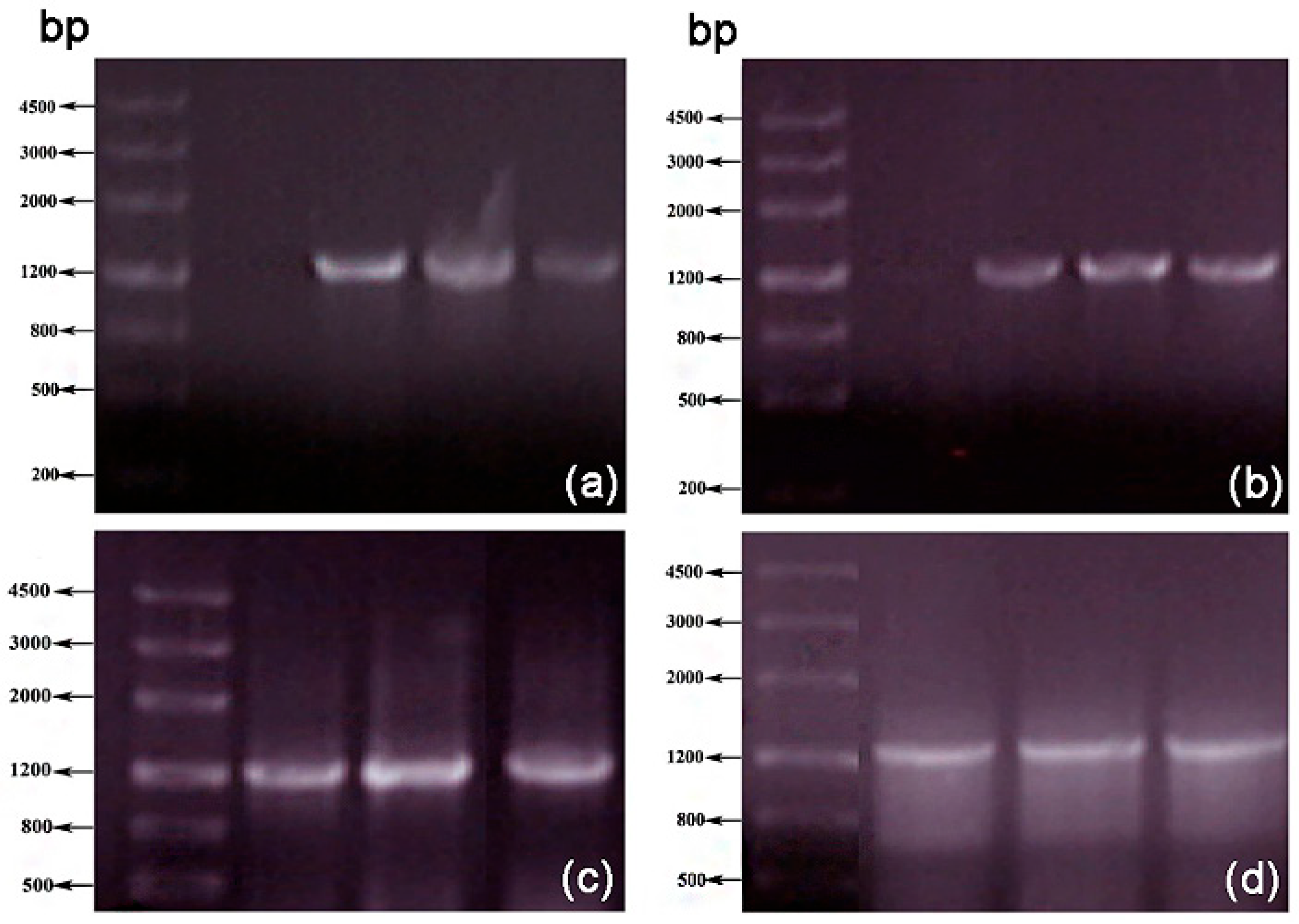 Polymers 17 02650 g001 Polymers 17 02650 g001