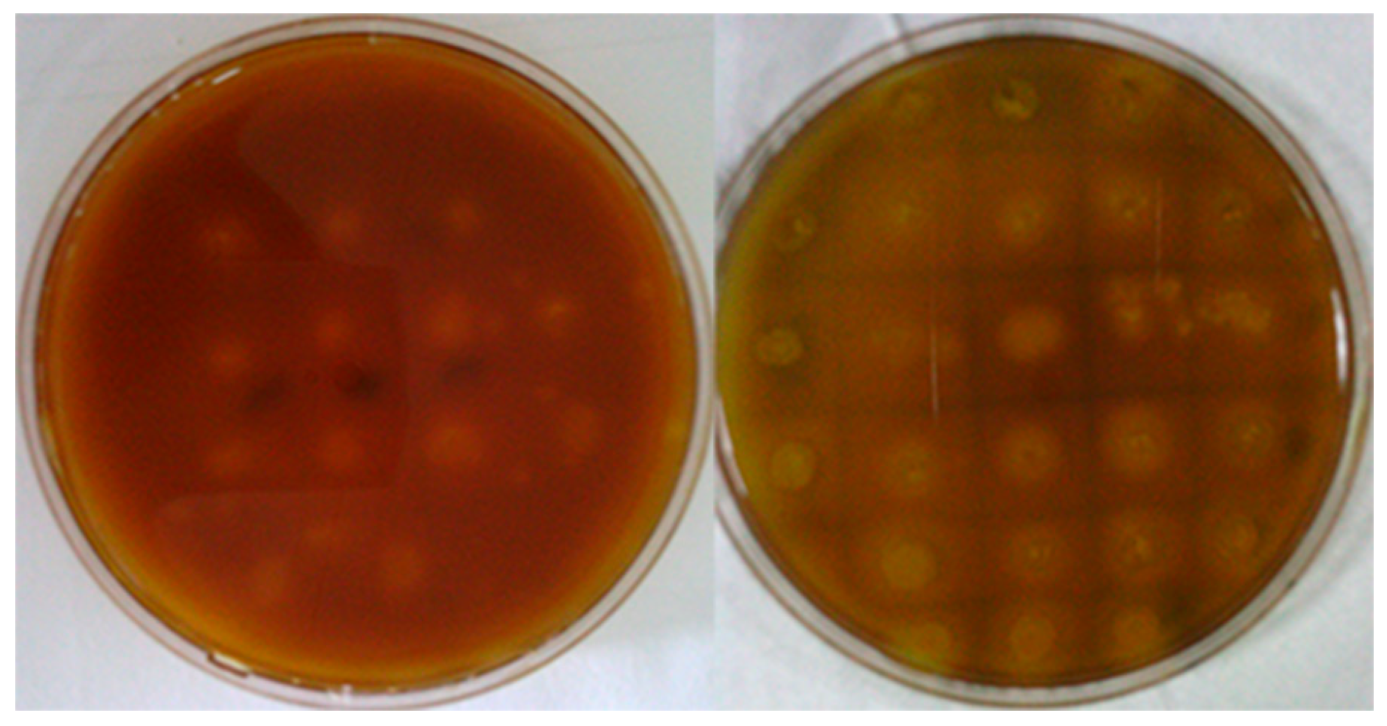 Polymers 17 02650 g004 Polymers 17 02650 g004