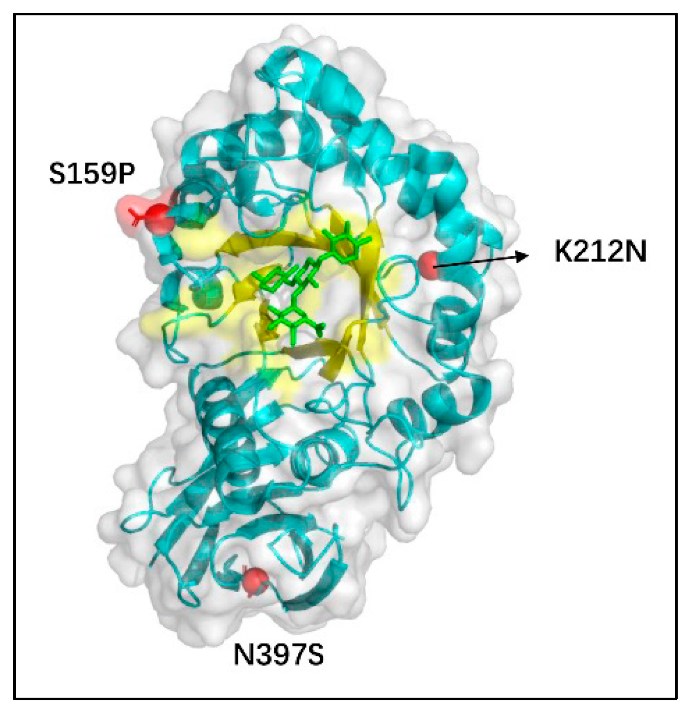 Polymers 17 02650 g009 Polymers 17 02650 g009