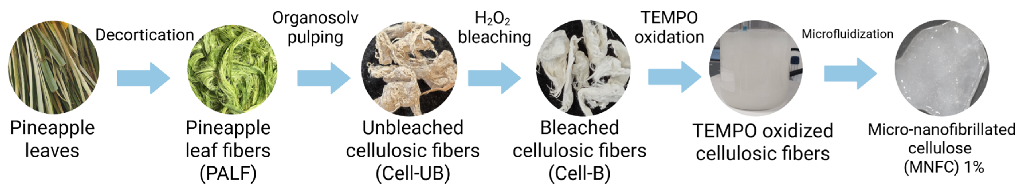Polymers 17 02671 g001 Polymers 17 02671 g001