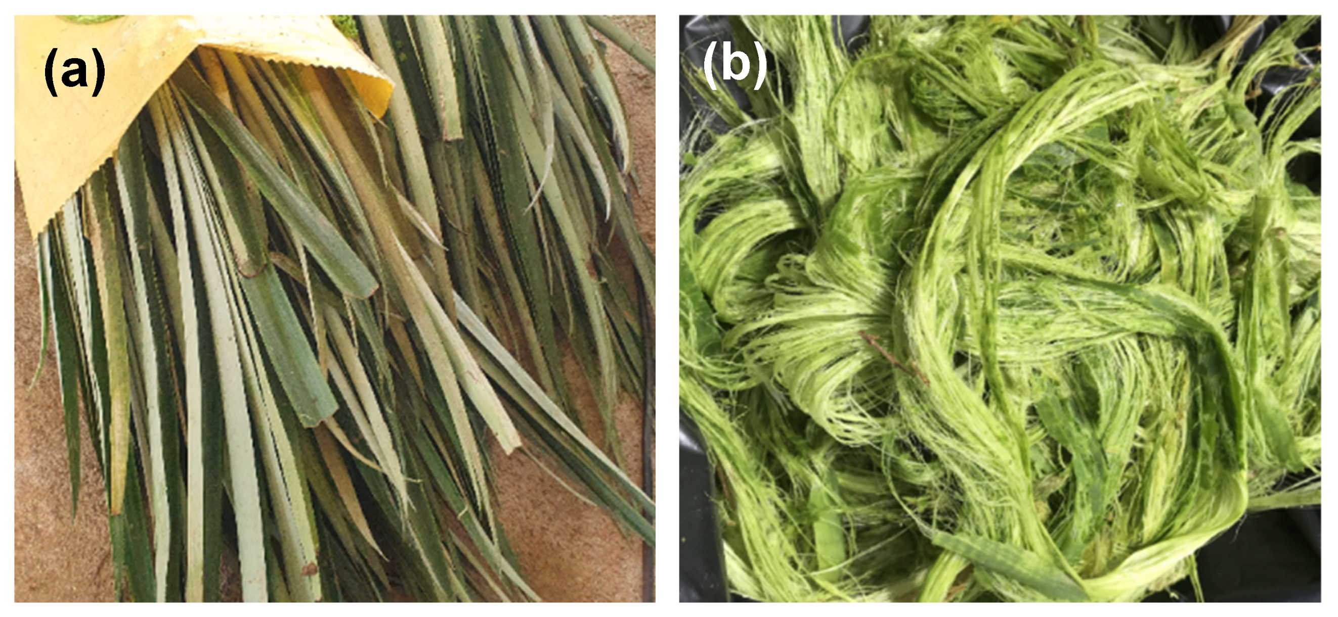 Polymers 17 02671 g002 Polymers 17 02671 g002