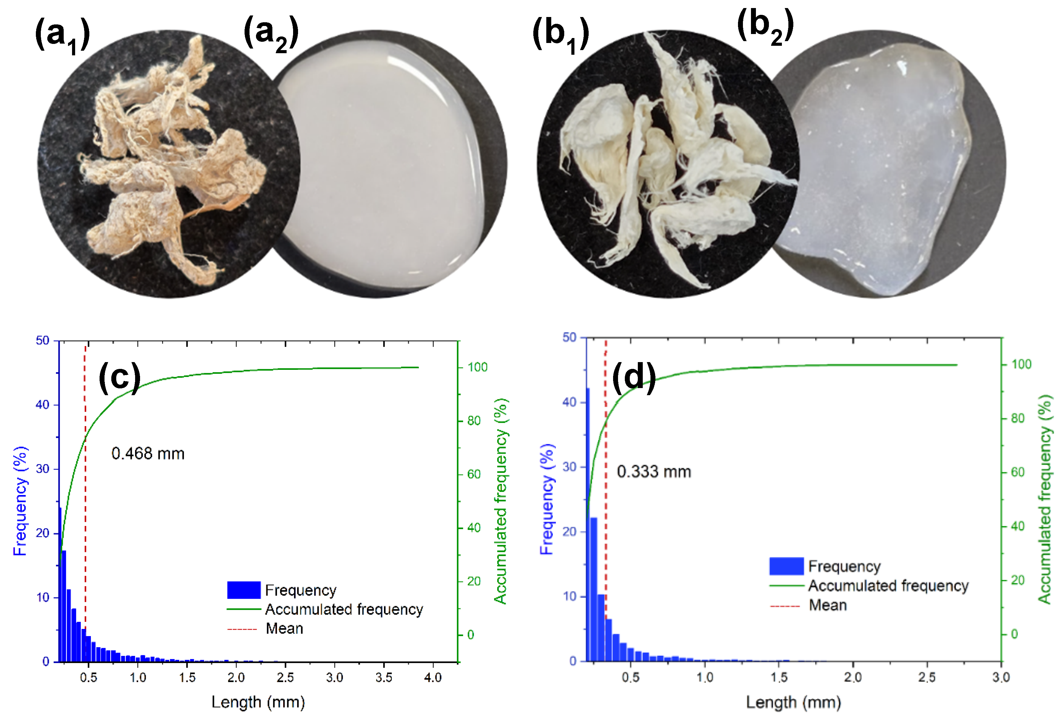 Polymers 17 02671 g004 Polymers 17 02671 g004