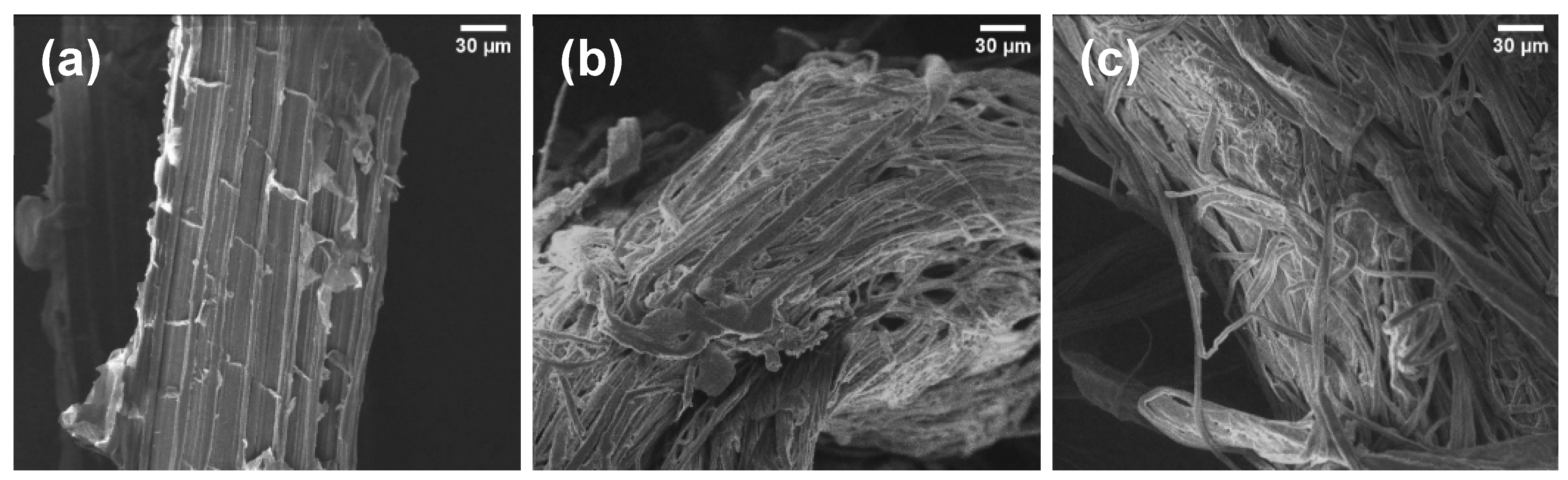 Polymers 17 02671 g005 Polymers 17 02671 g005