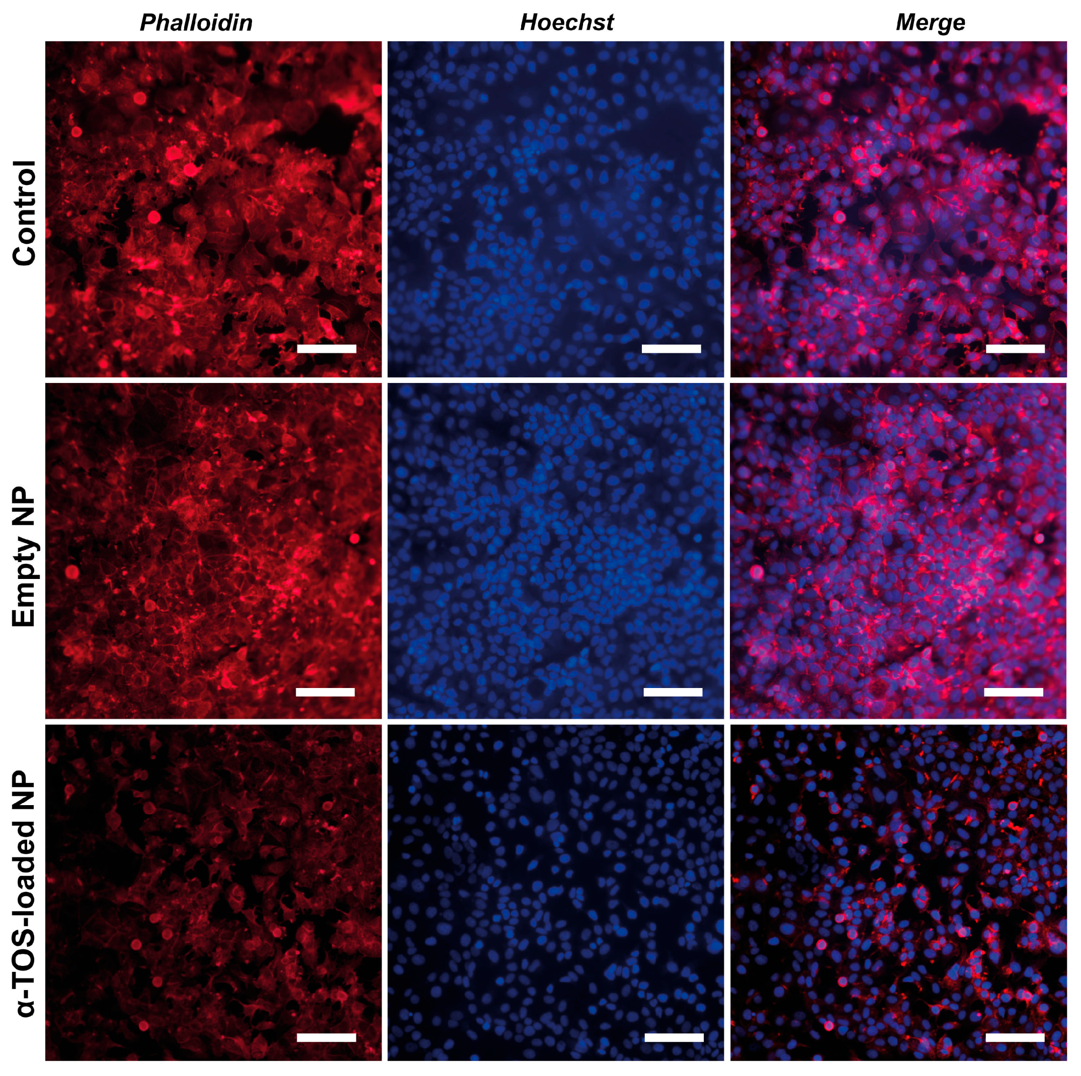Polymers 17 02672 g009