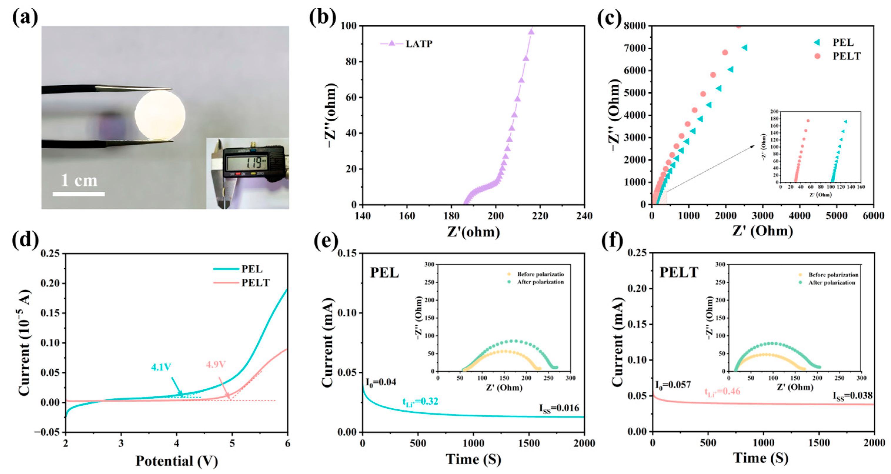 Polymers 17 02673 g005