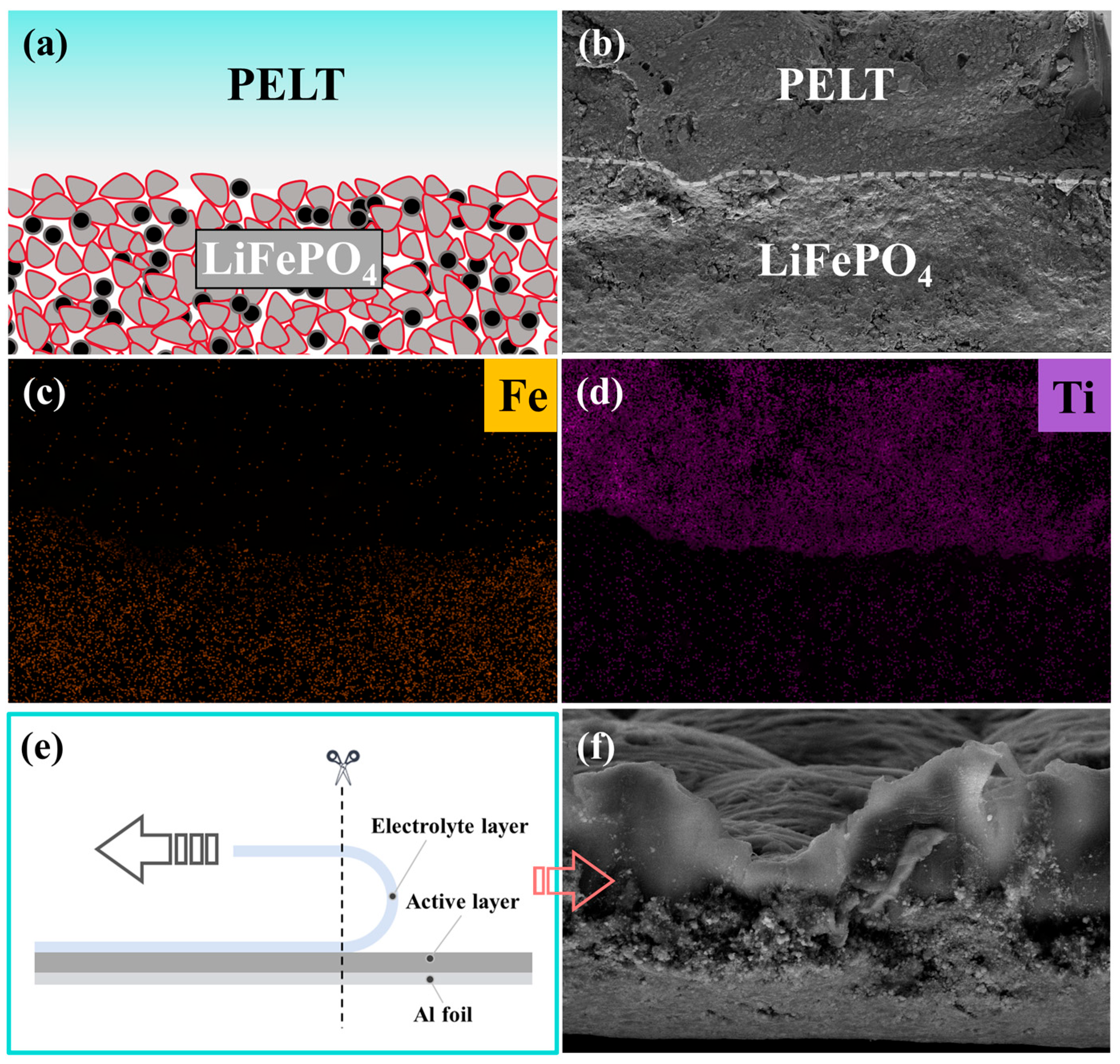 Polymers 17 02673 g007