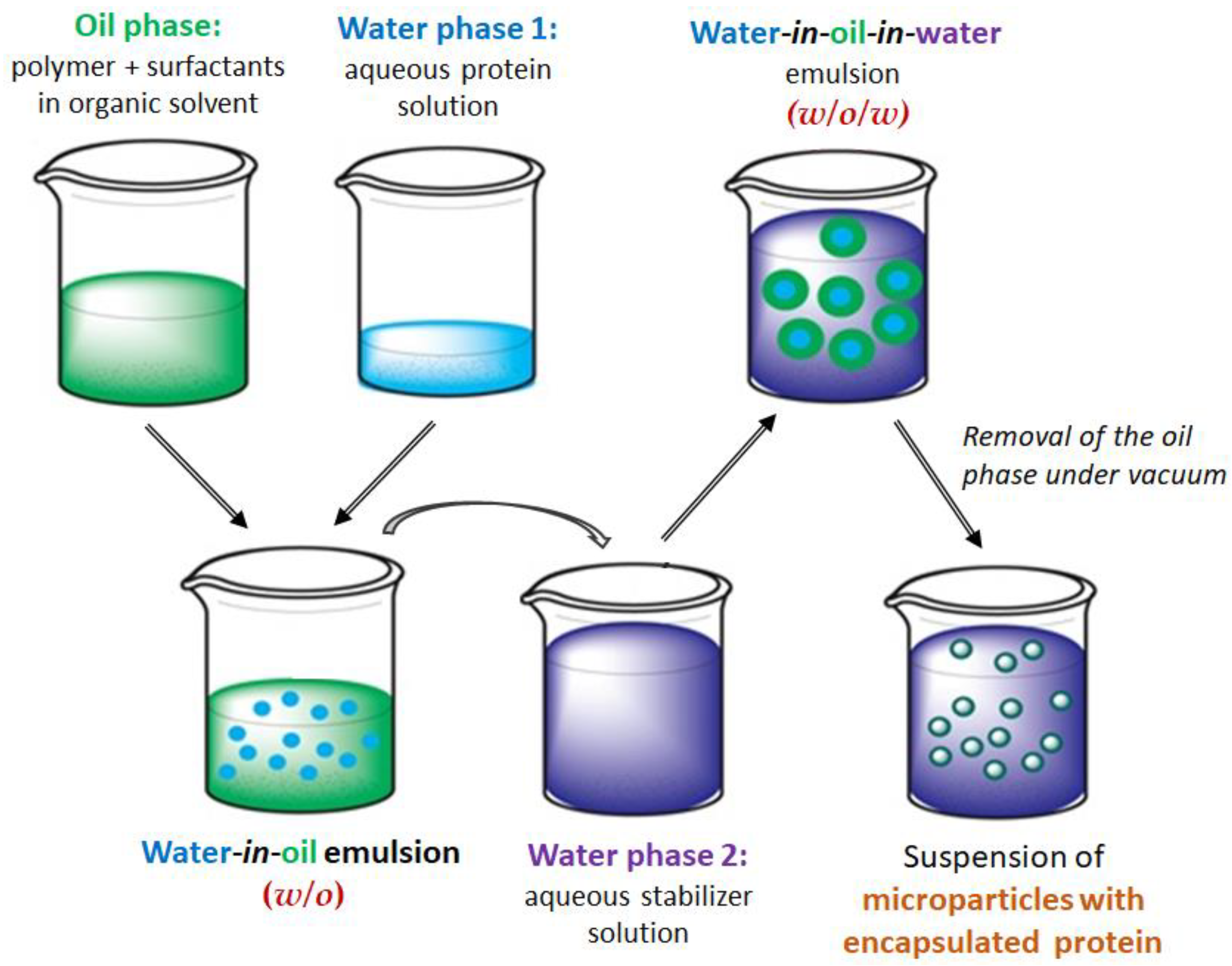 Polymers 17 02676 g001 Polymers 17 02676 g001