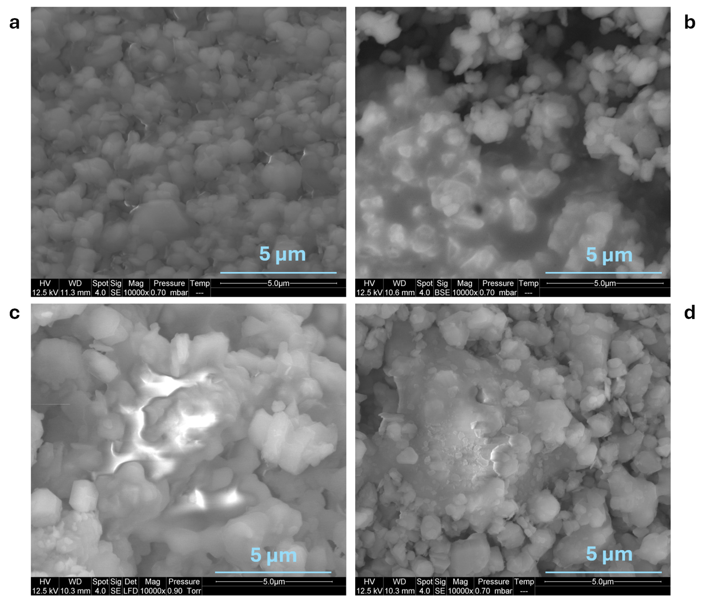 Polymers 17 02679 g005 Polymers 17 02679 g005