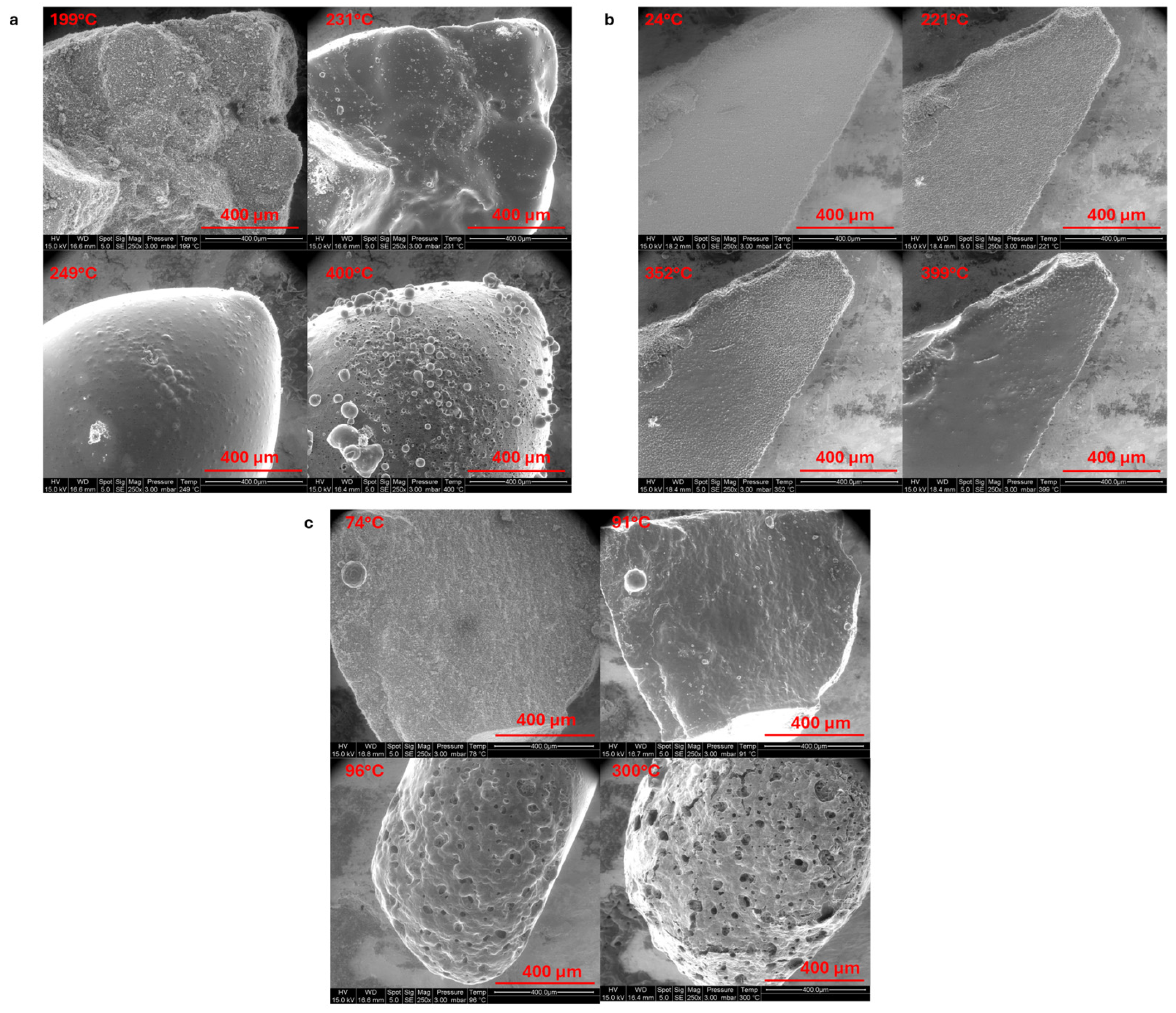 Polymers 17 02679 g007 Polymers 17 02679 g007