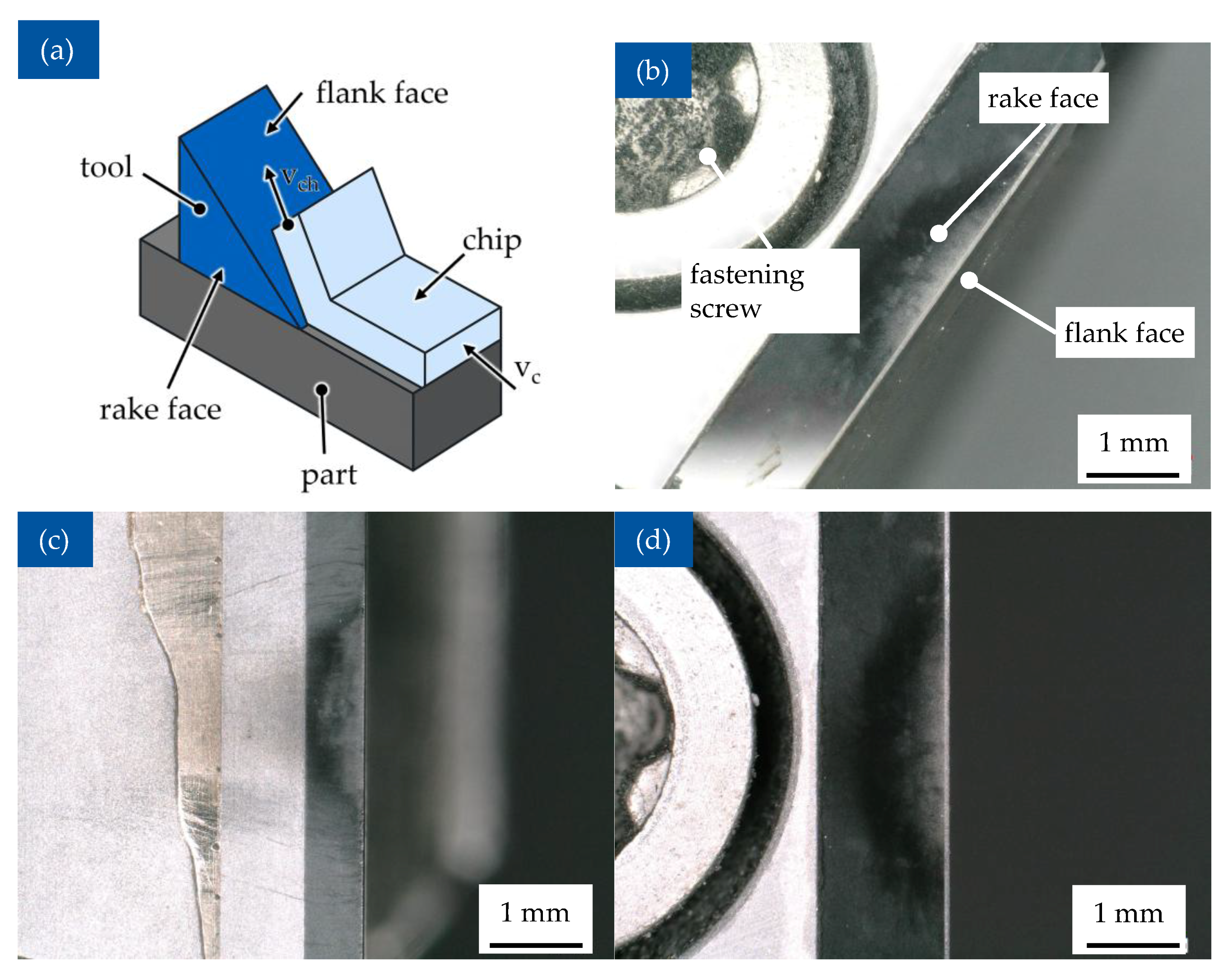 Polymers 17 02681 g011 Polymers 17 02681 g011