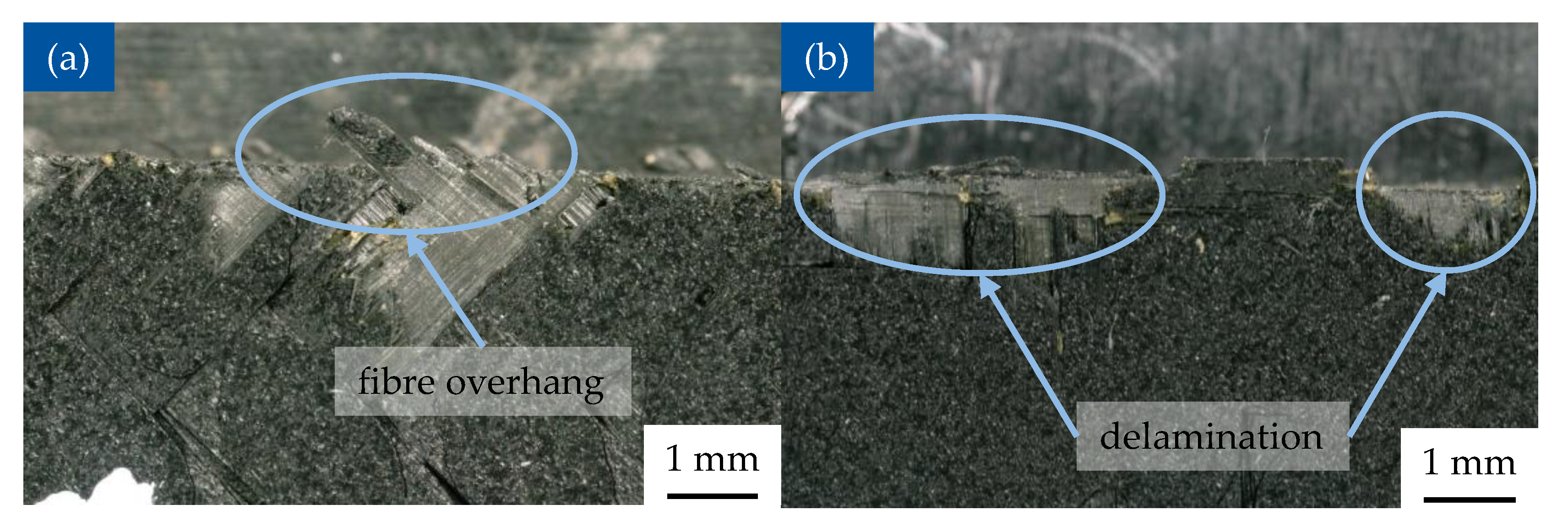 Polymers 17 02681 g013 Polymers 17 02681 g013