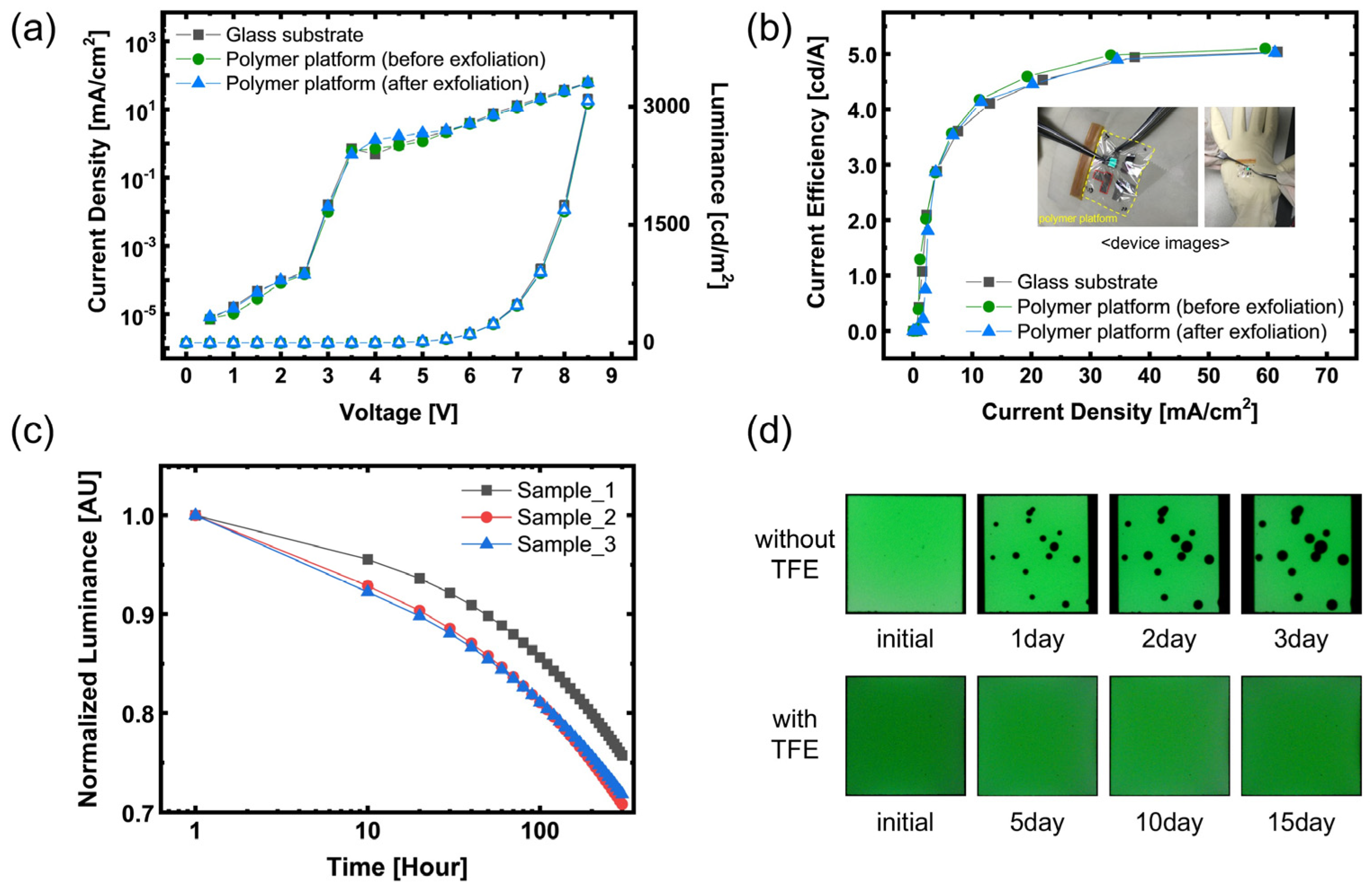 Polymers 17 02688 g008 Polymers 17 02688 g008