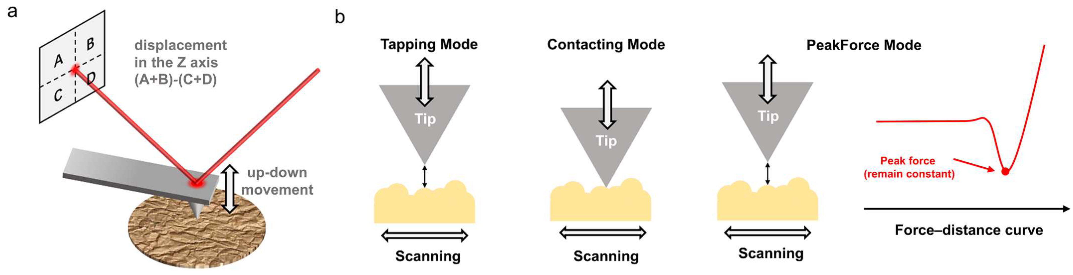 Polymers 17 02692 g001 Polymers 17 02692 g001