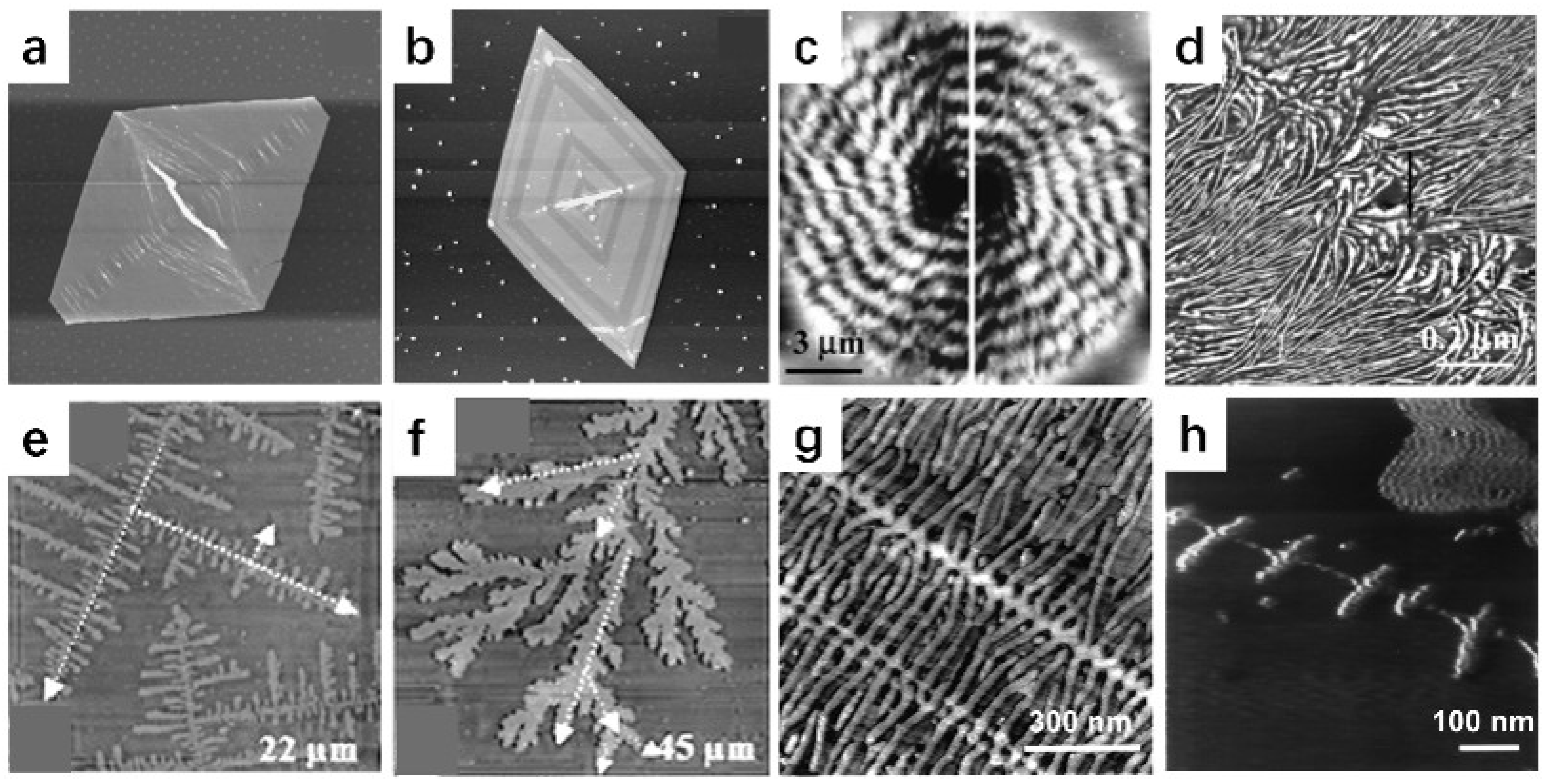 Polymers 17 02692 g002 Polymers 17 02692 g002