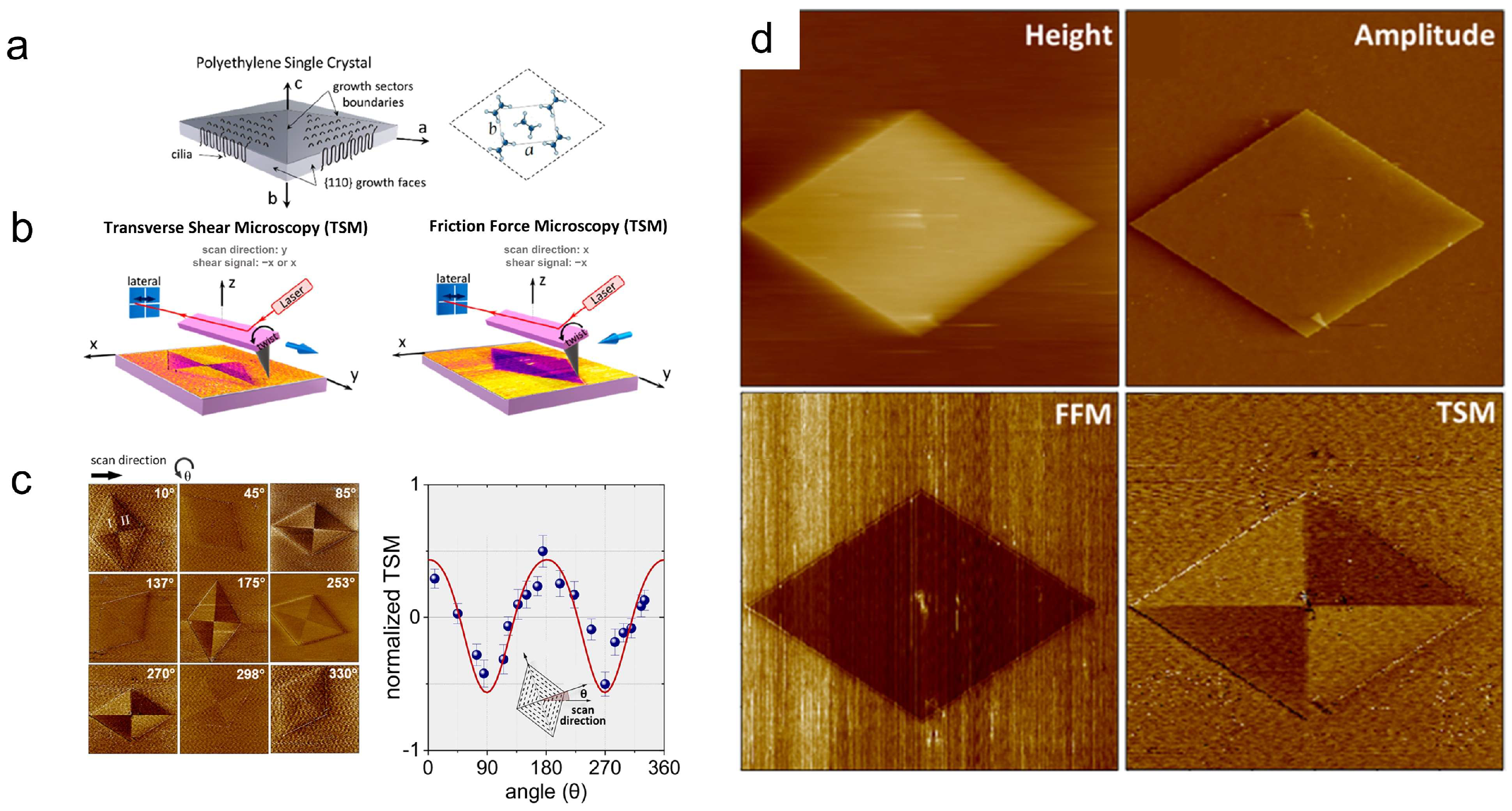 Polymers 17 02692 g004 Polymers 17 02692 g004