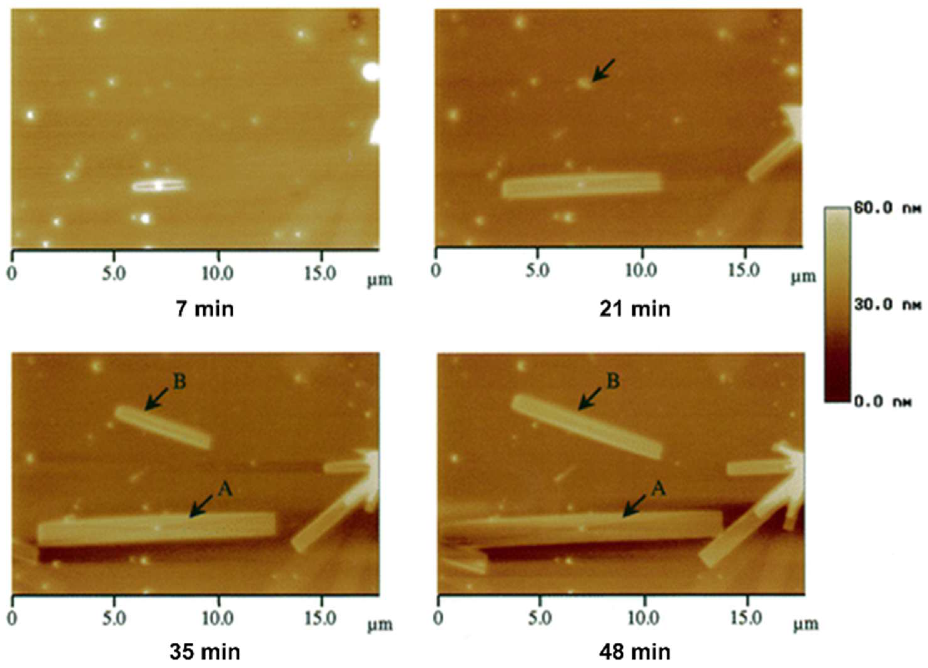 Polymers 17 02692 g006 Polymers 17 02692 g006