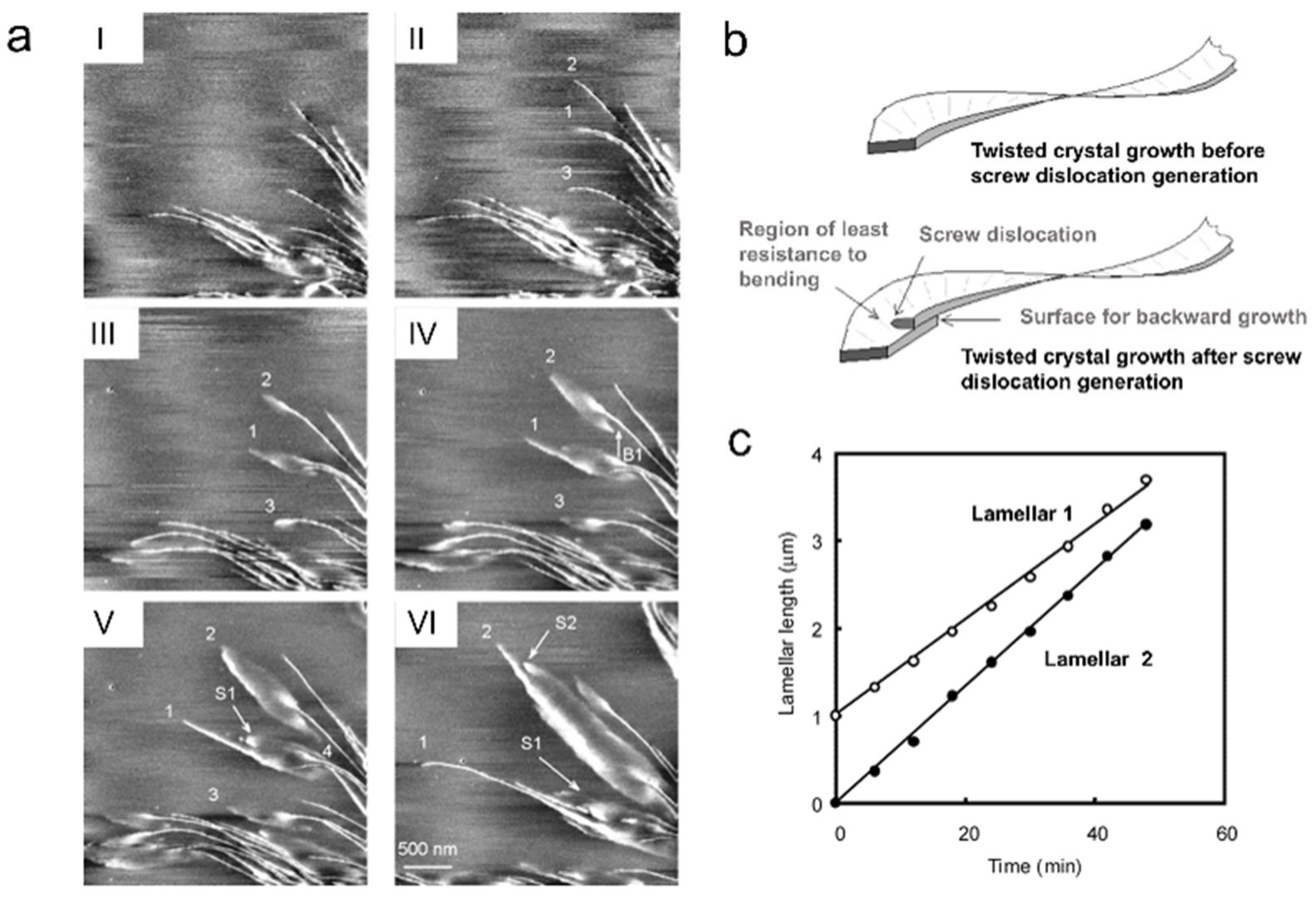Polymers 17 02692 g008 Polymers 17 02692 g008