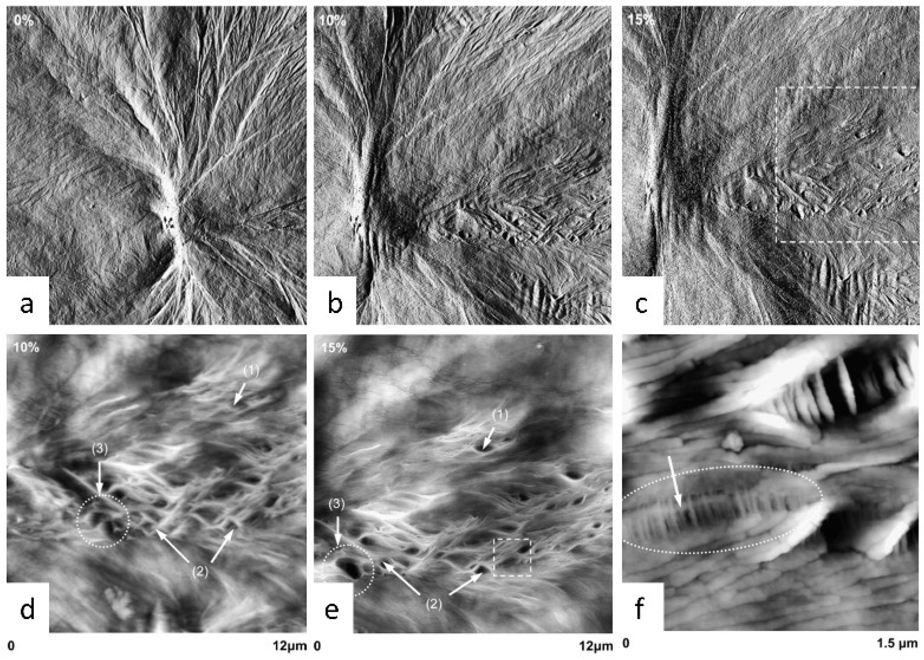 Polymers 17 02692 g010 Polymers 17 02692 g010