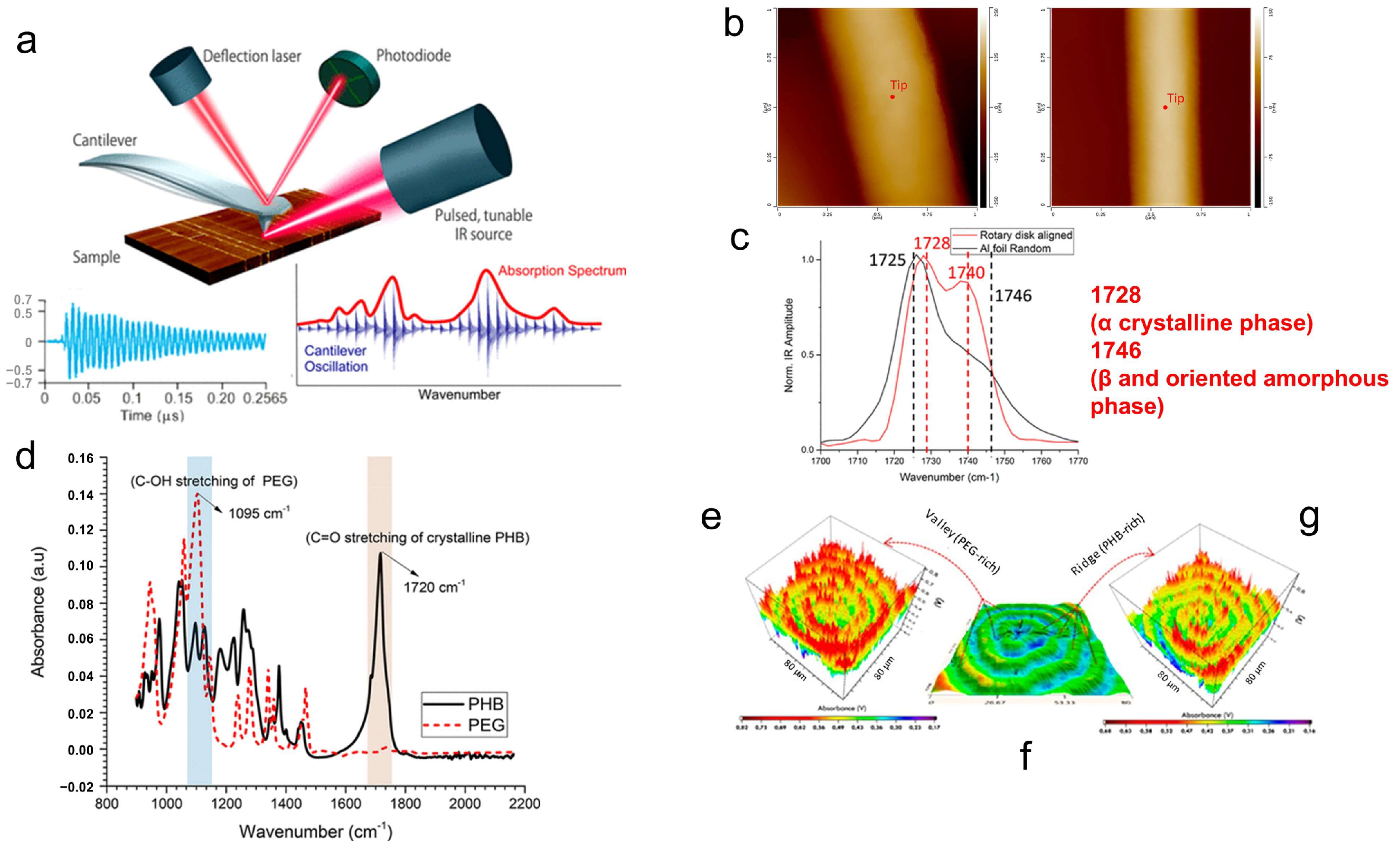 Polymers 17 02692 g012 Polymers 17 02692 g012