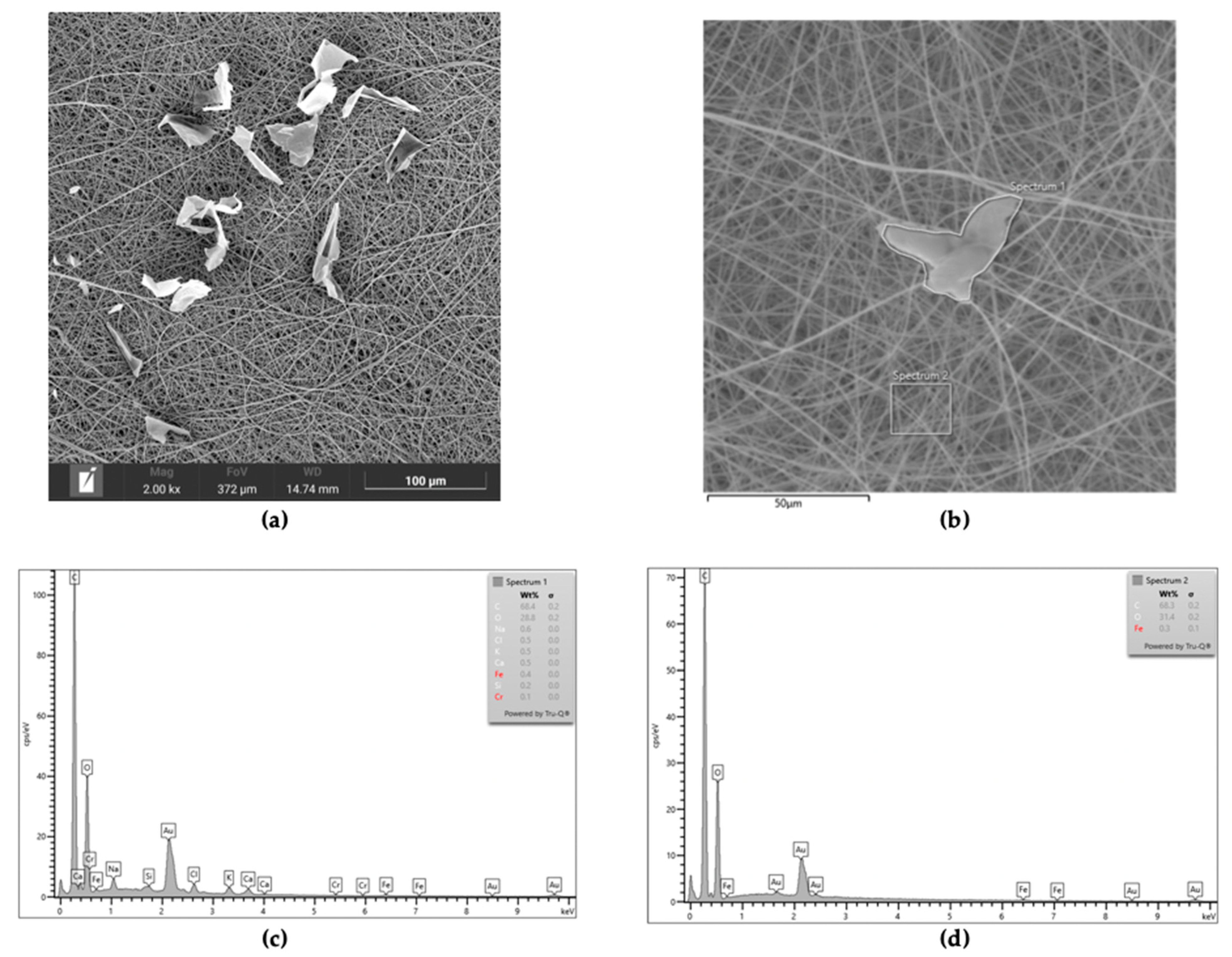 Polymers 17 02693 g002 Polymers 17 02693 g002