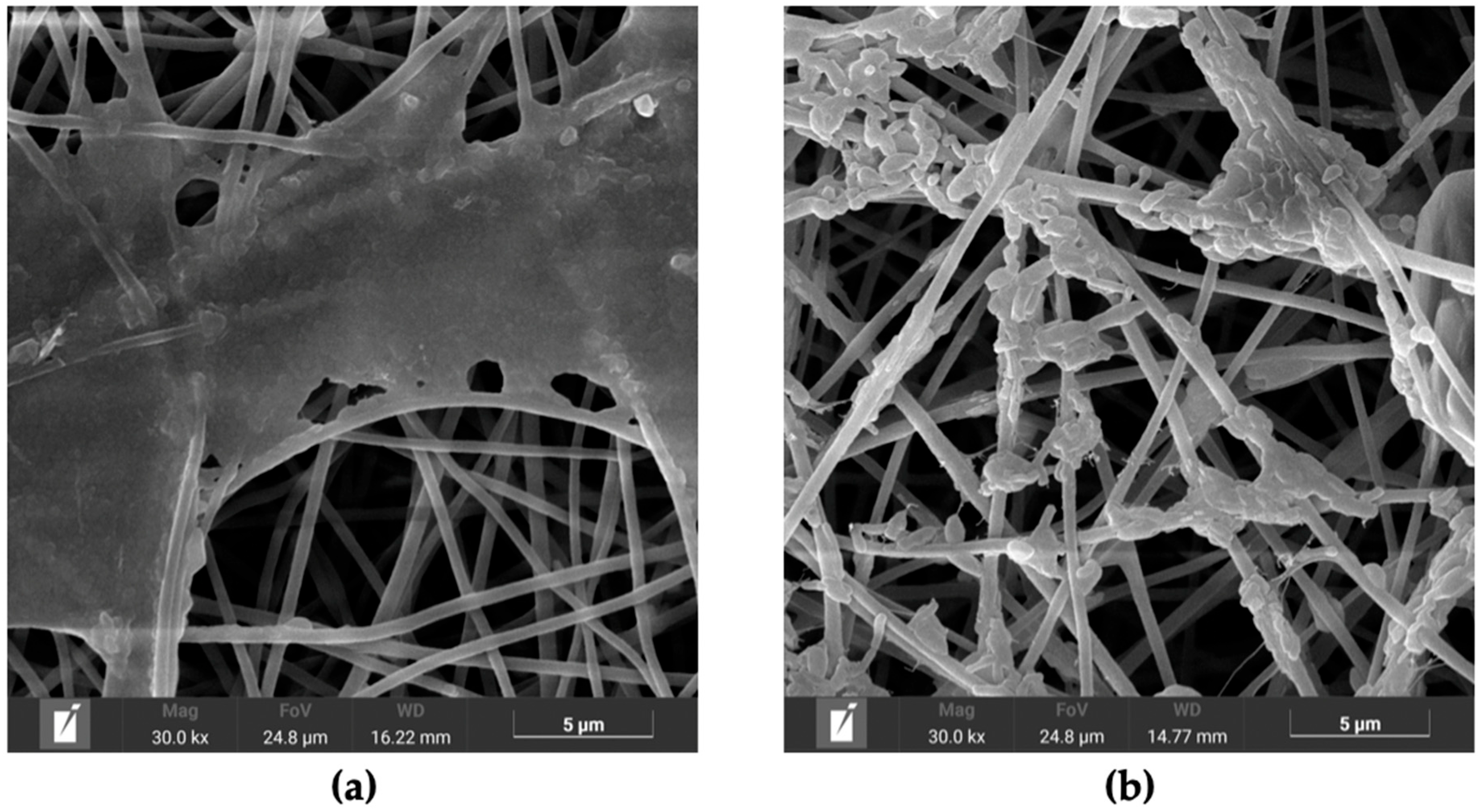 Polymers 17 02693 g005 Polymers 17 02693 g005