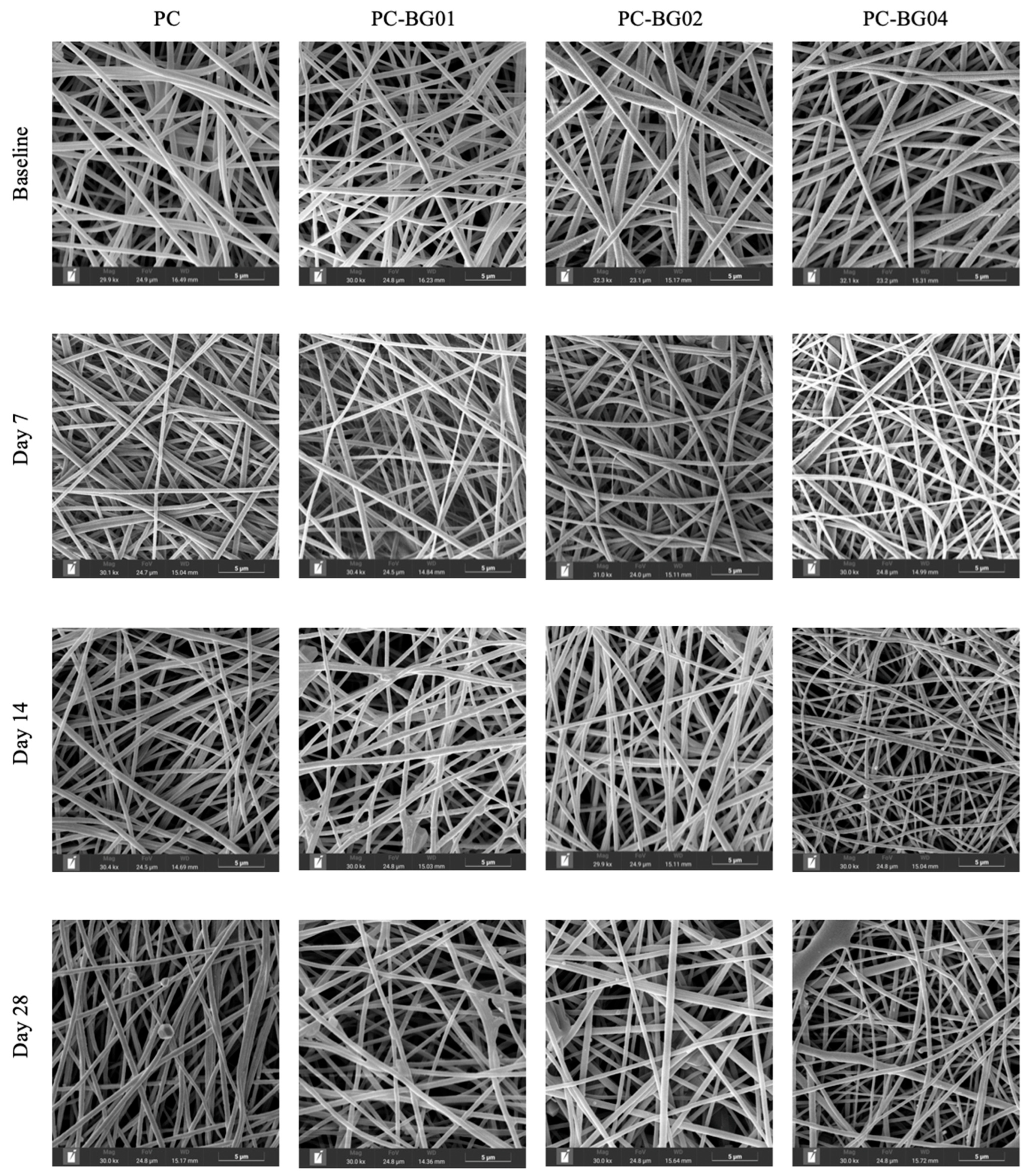 Polymers 17 02693 g006 Polymers 17 02693 g006